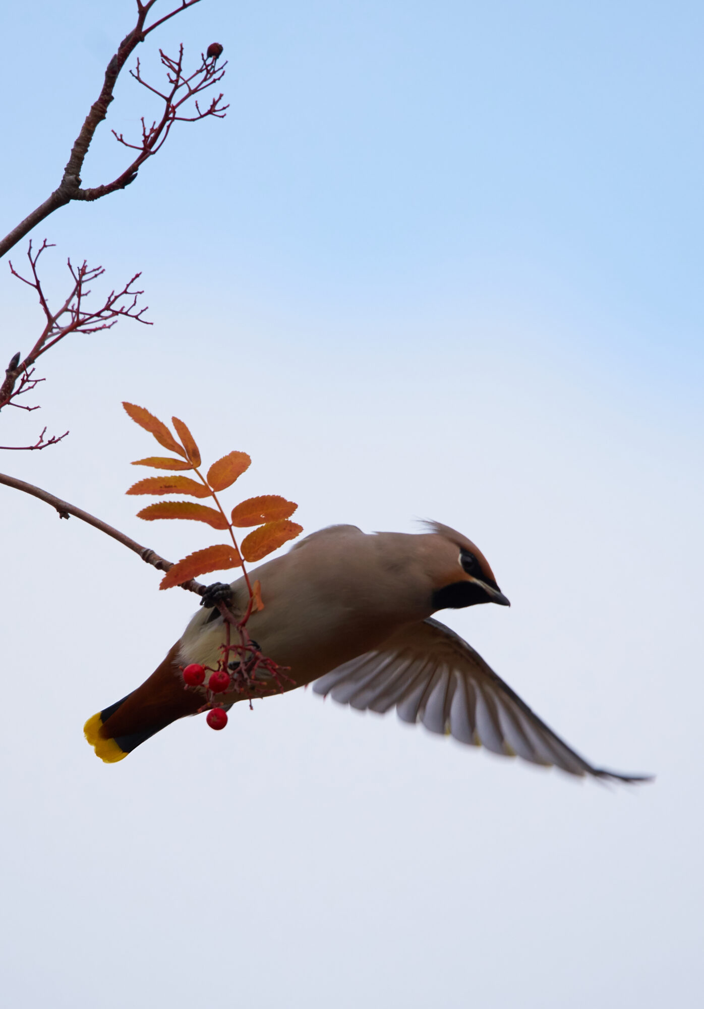 Valokuvaaja: Tarja Kouvo