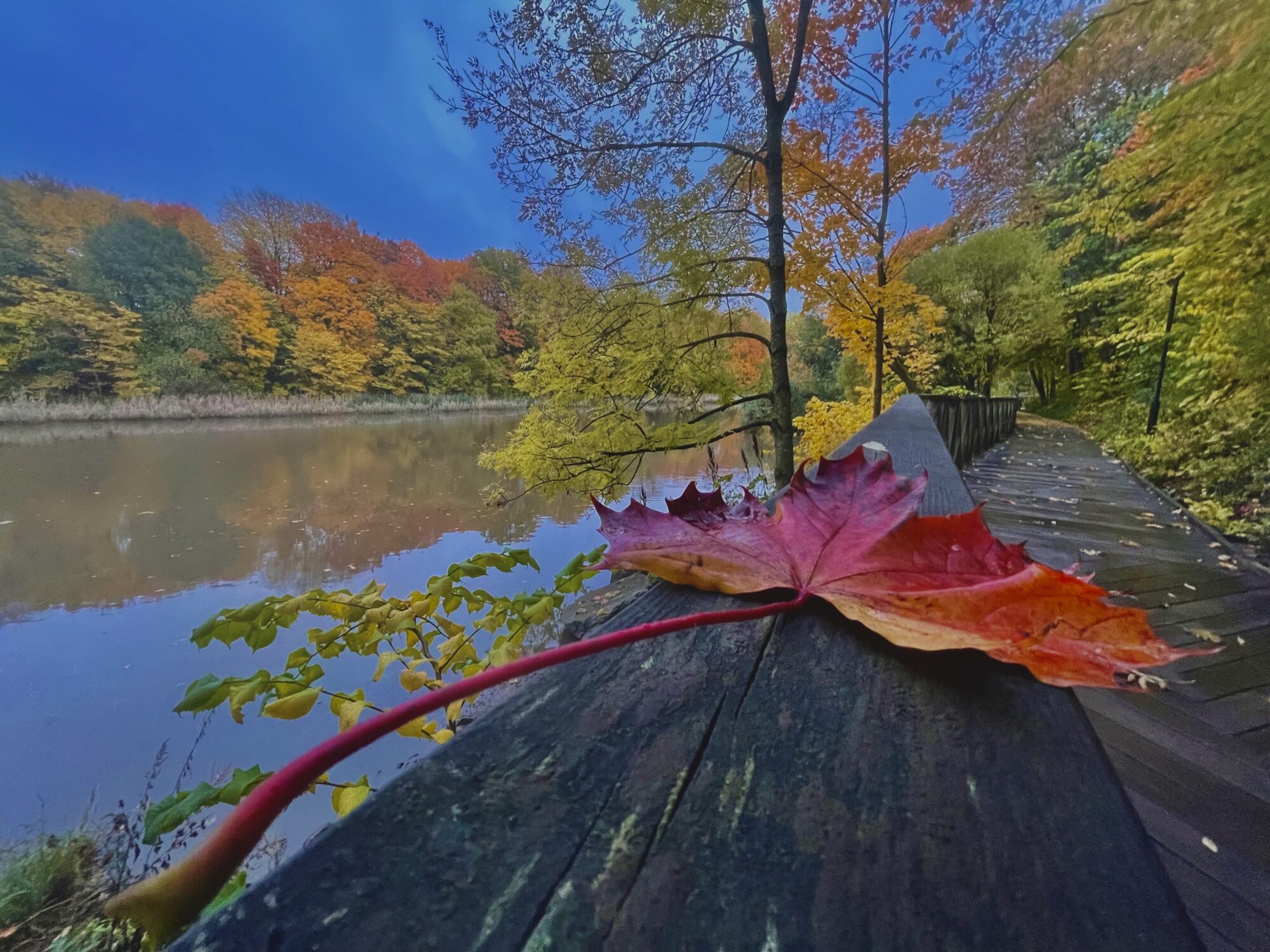 Valokuvaaja: Juhani Peltonen