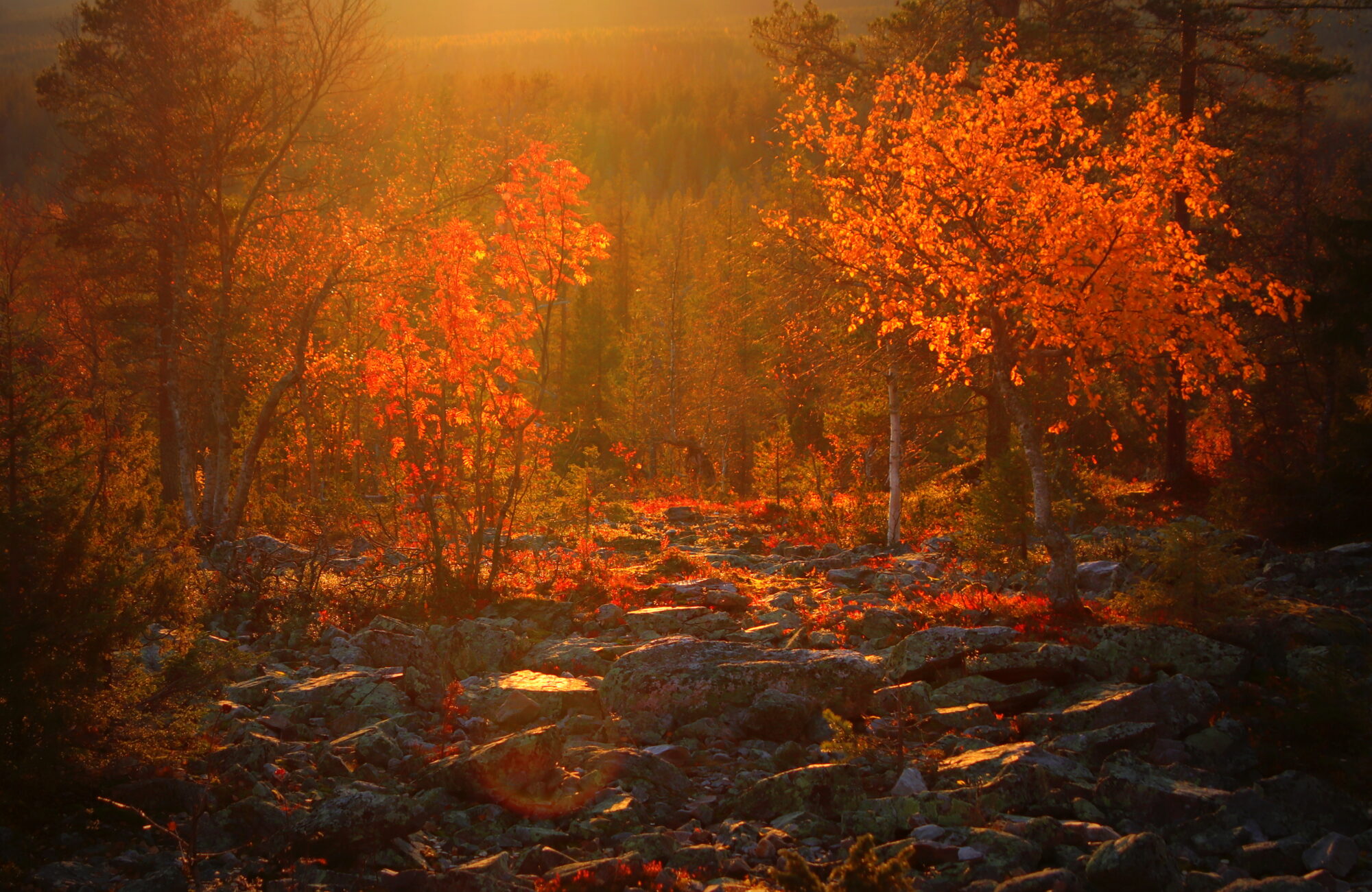 Valokuvaaja: sirpa jyske
