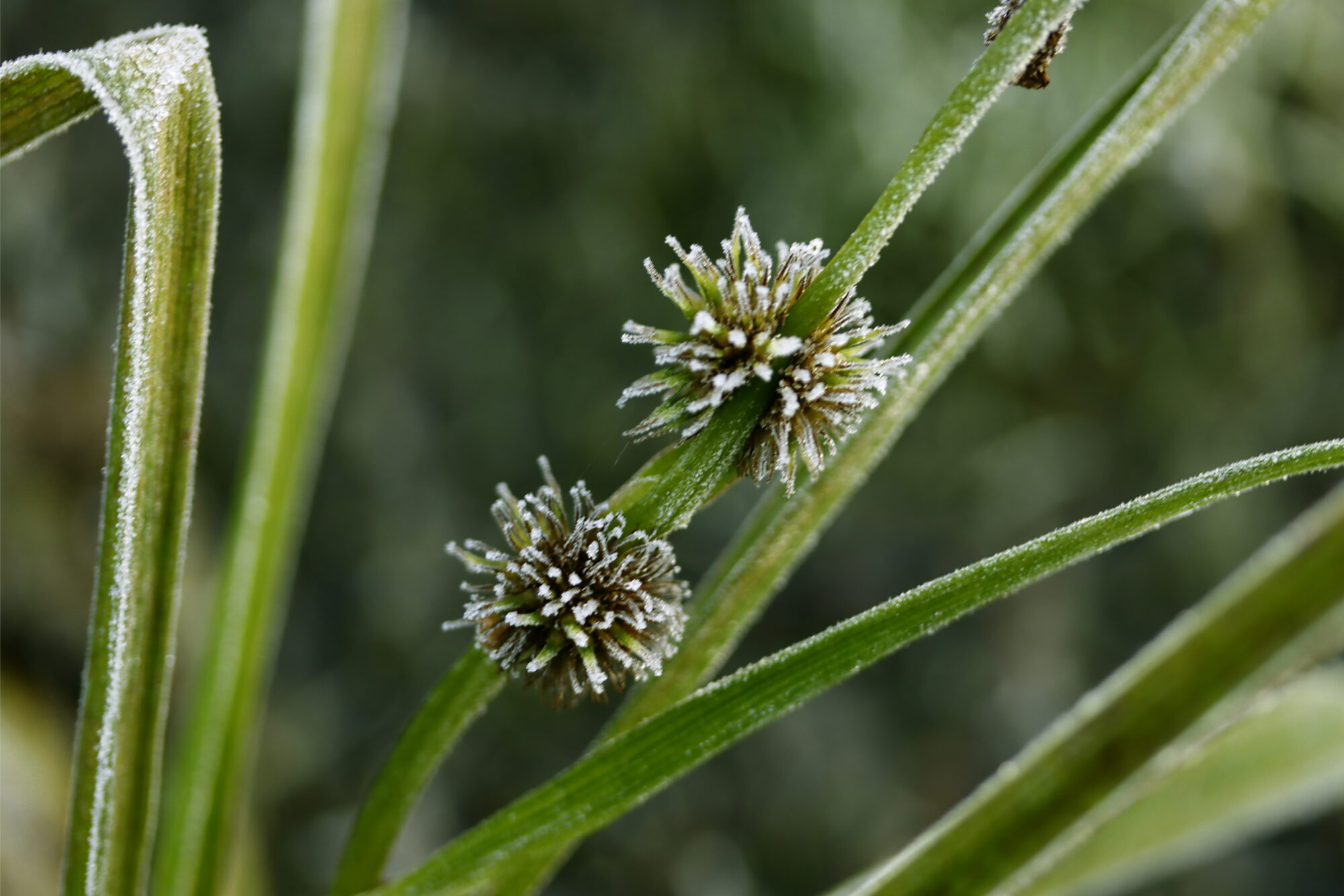 Valokuvaaja: Ritva Nieminen