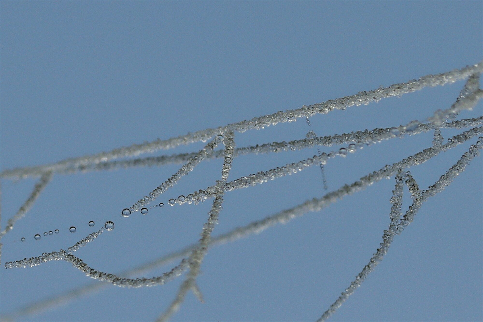 Valokuvaaja: Ritva Nieminen