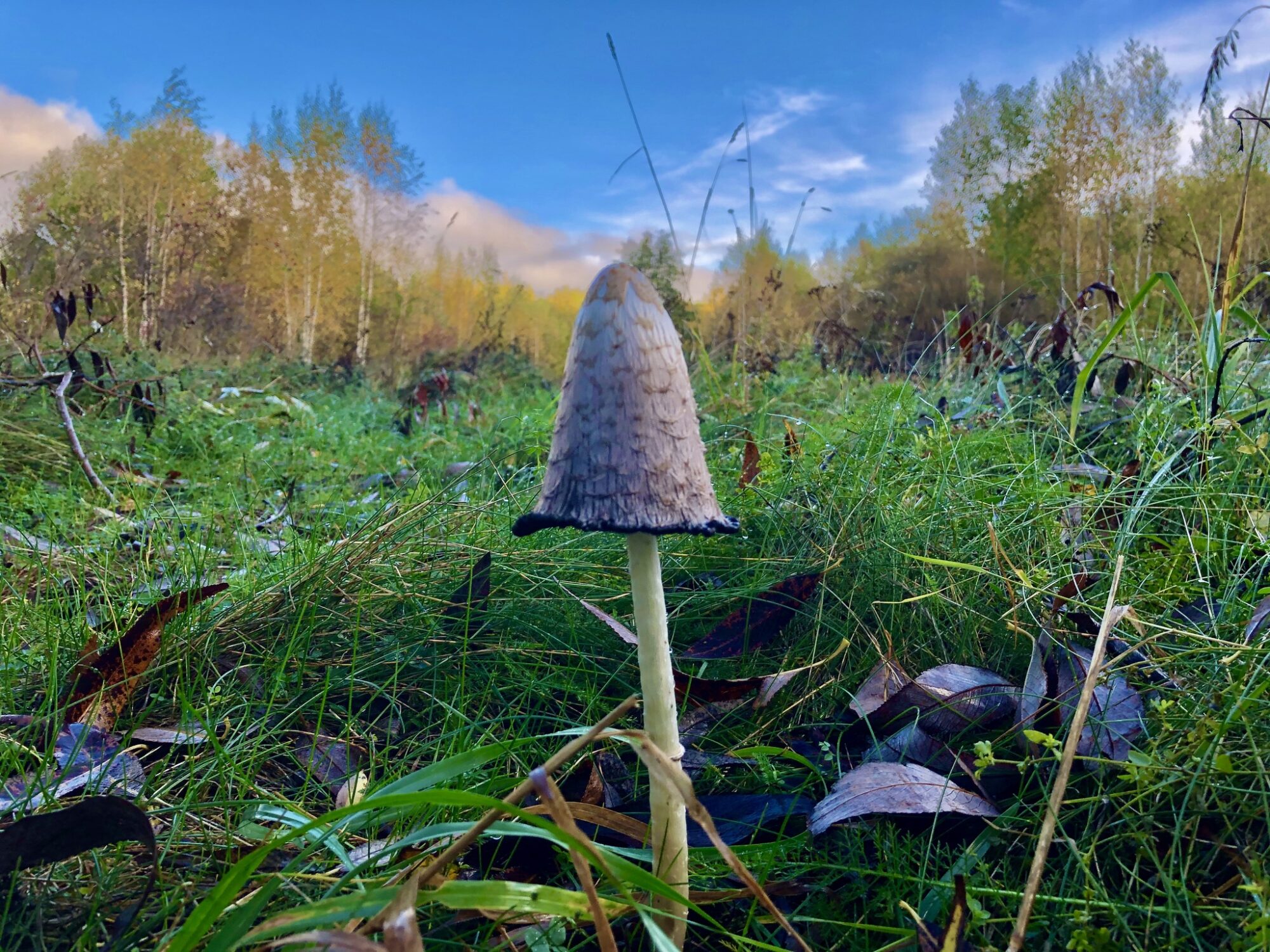 Valokuvaaja: Juhani Peltonen