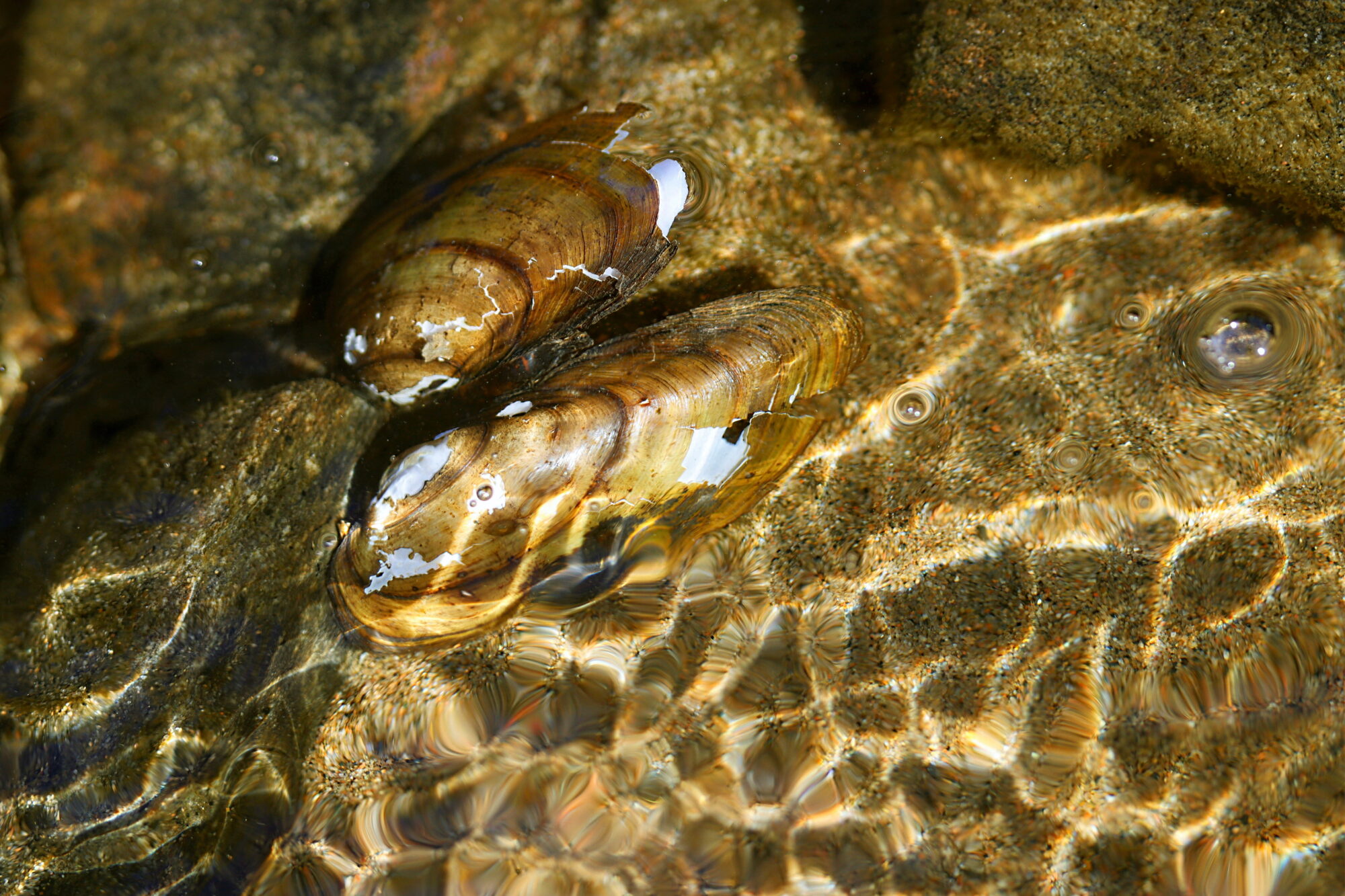 Valokuvaaja: Ritva Nieminen
