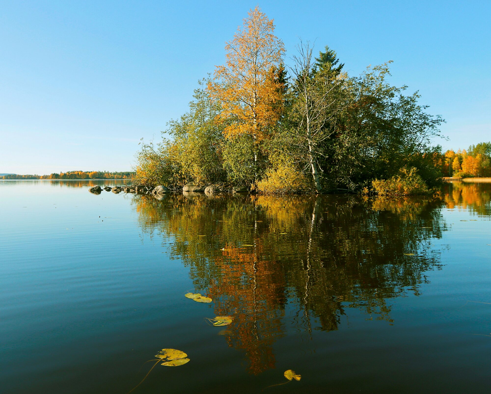 Valokuvaaja: Ritva Nieminen