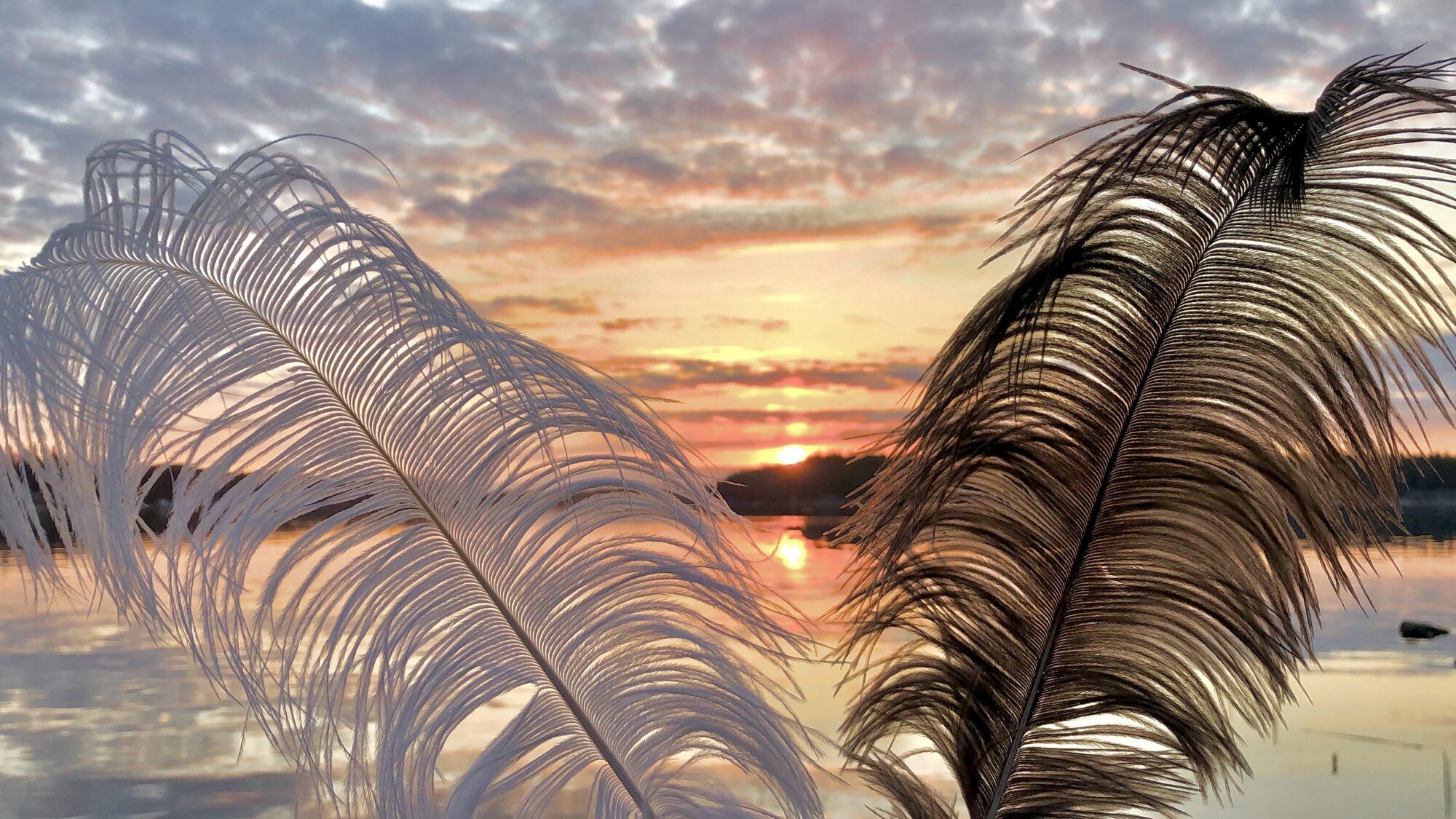 Valokuvaaja: Juhani Peltonen