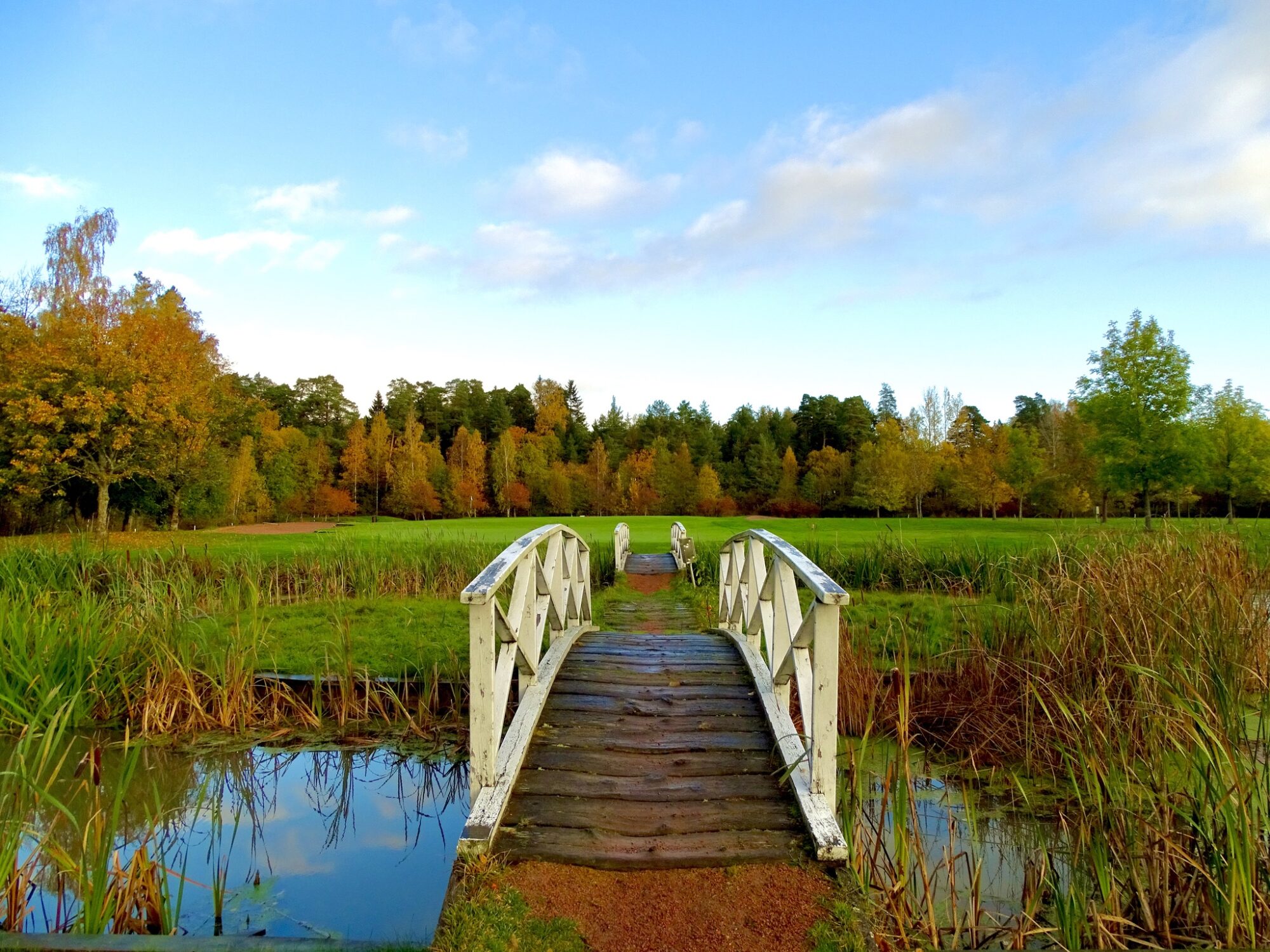 Valokuvaaja: Juhani Peltonen