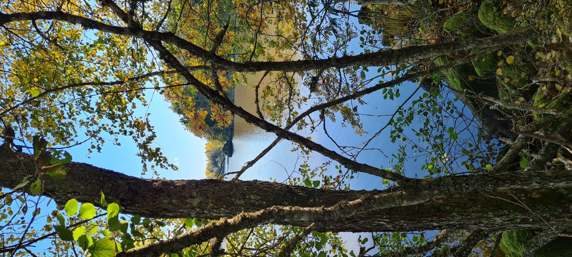 Valokuvaaja: Kaarina Walter