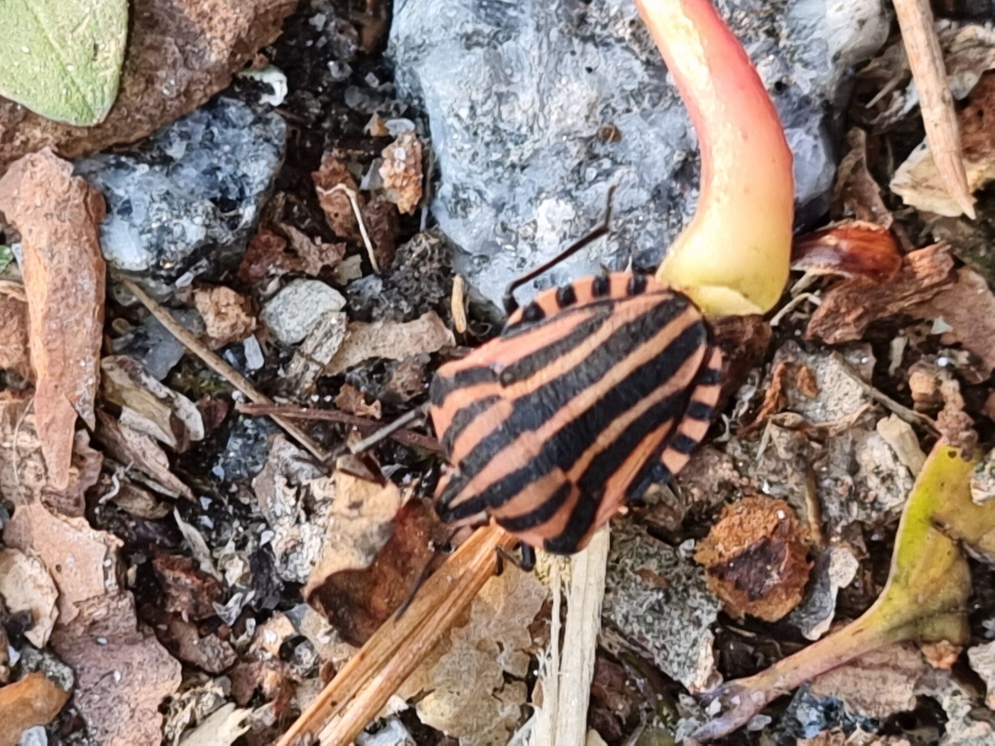 Valokuvaaja: Eija Jalava