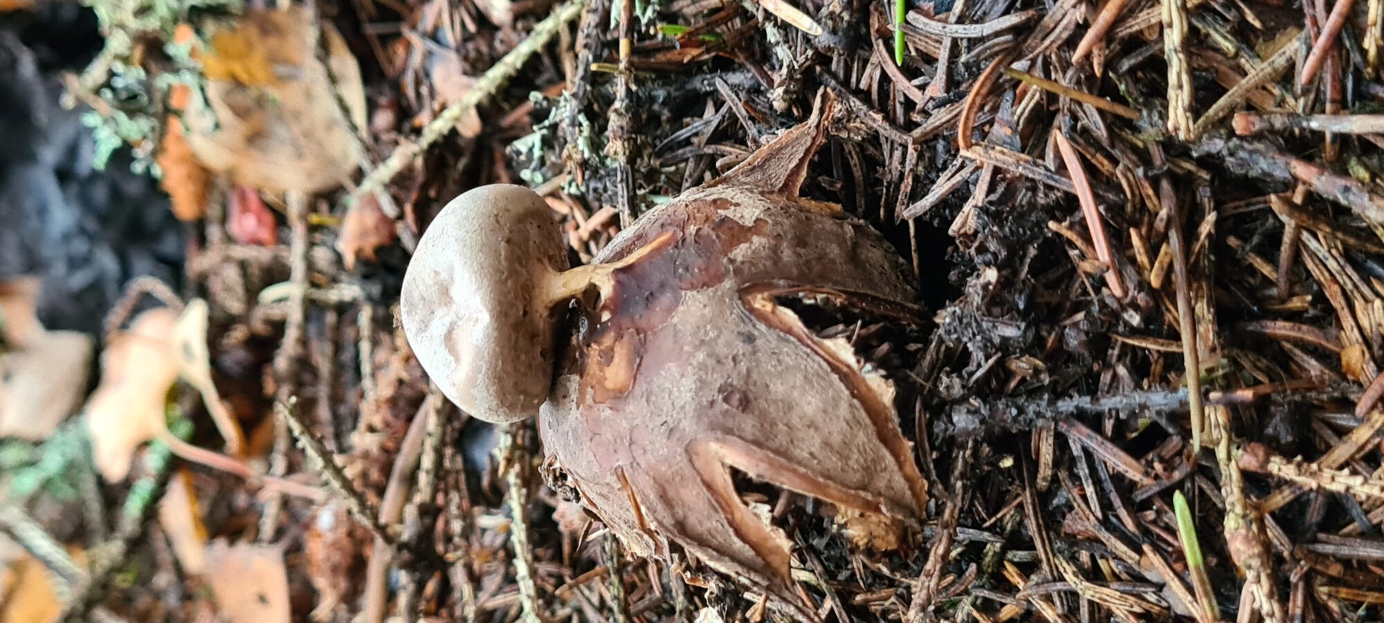 Valokuvaaja: Kaarina Walter