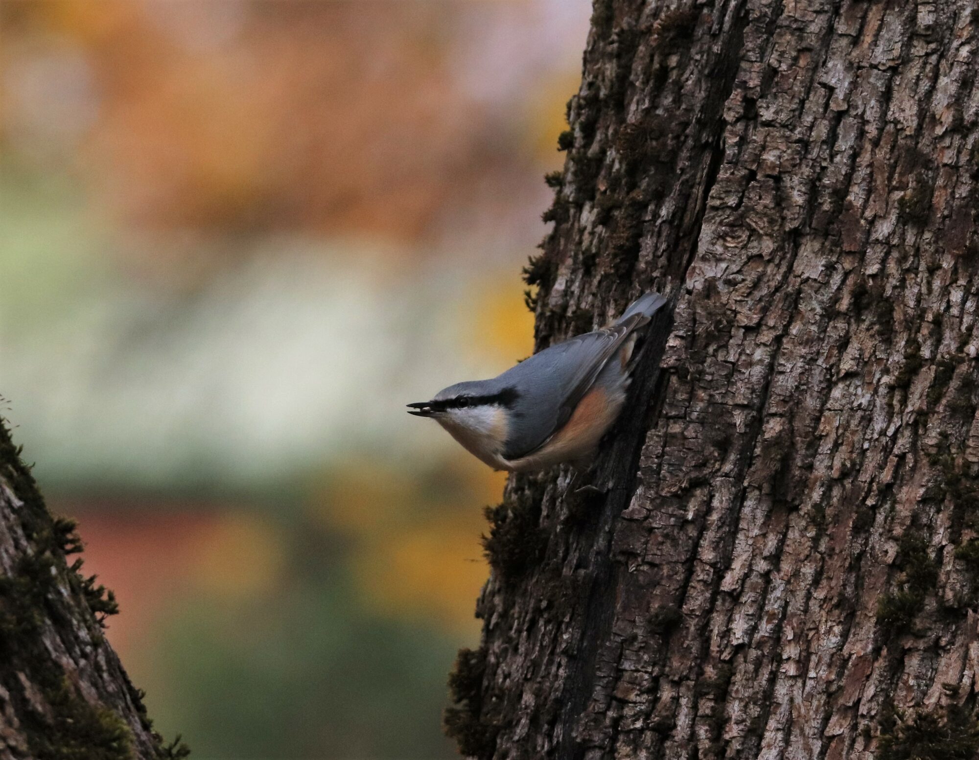 Valokuvaaja: Irja Lehtinen