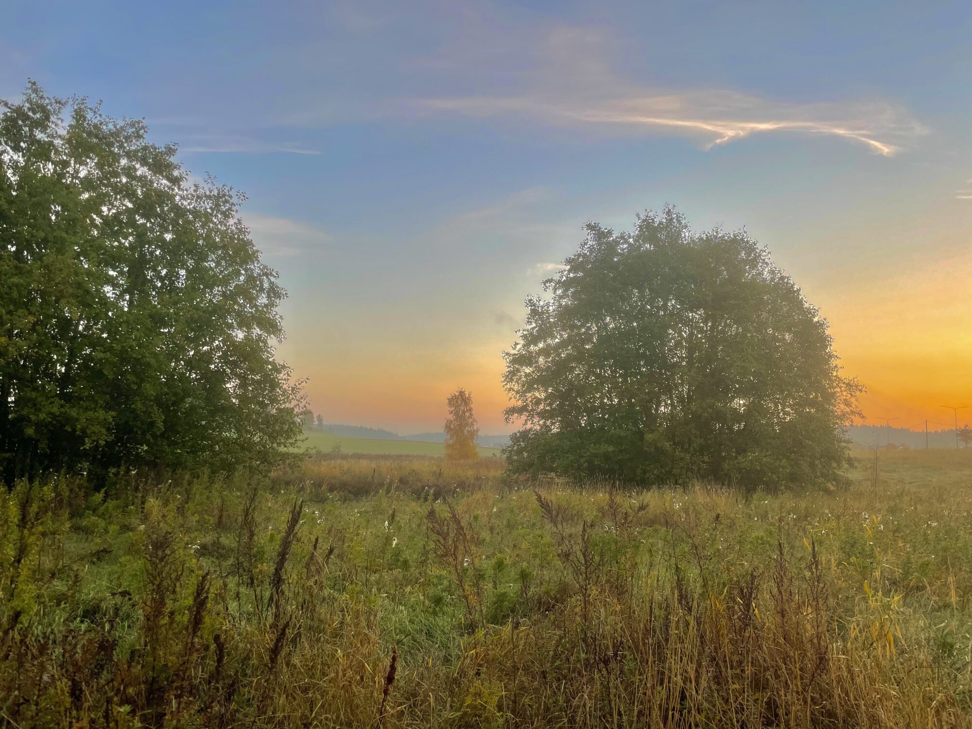 Valokuvaaja: Juhani Peltonen