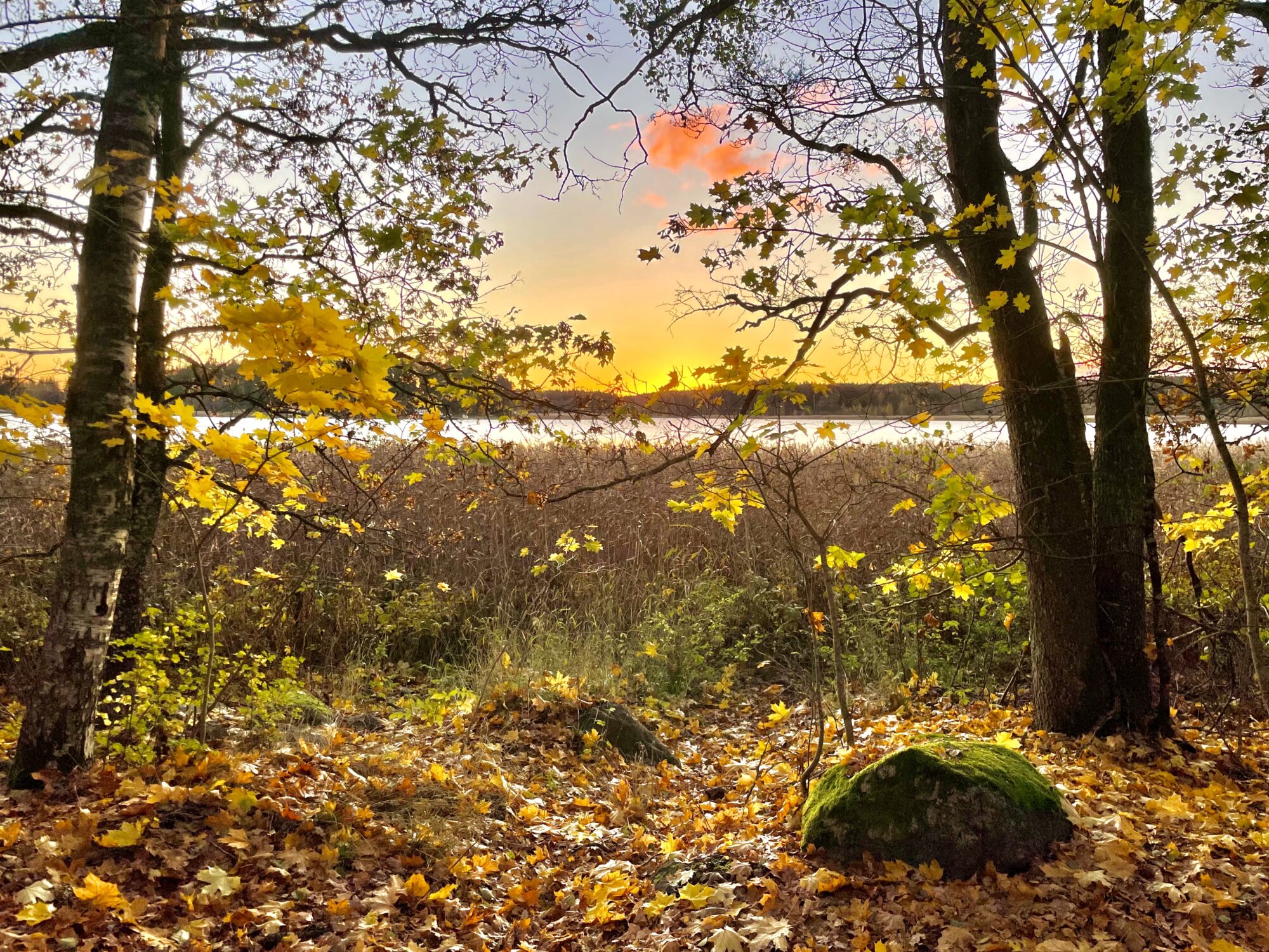 Valokuvaaja: Juhani Peltonen