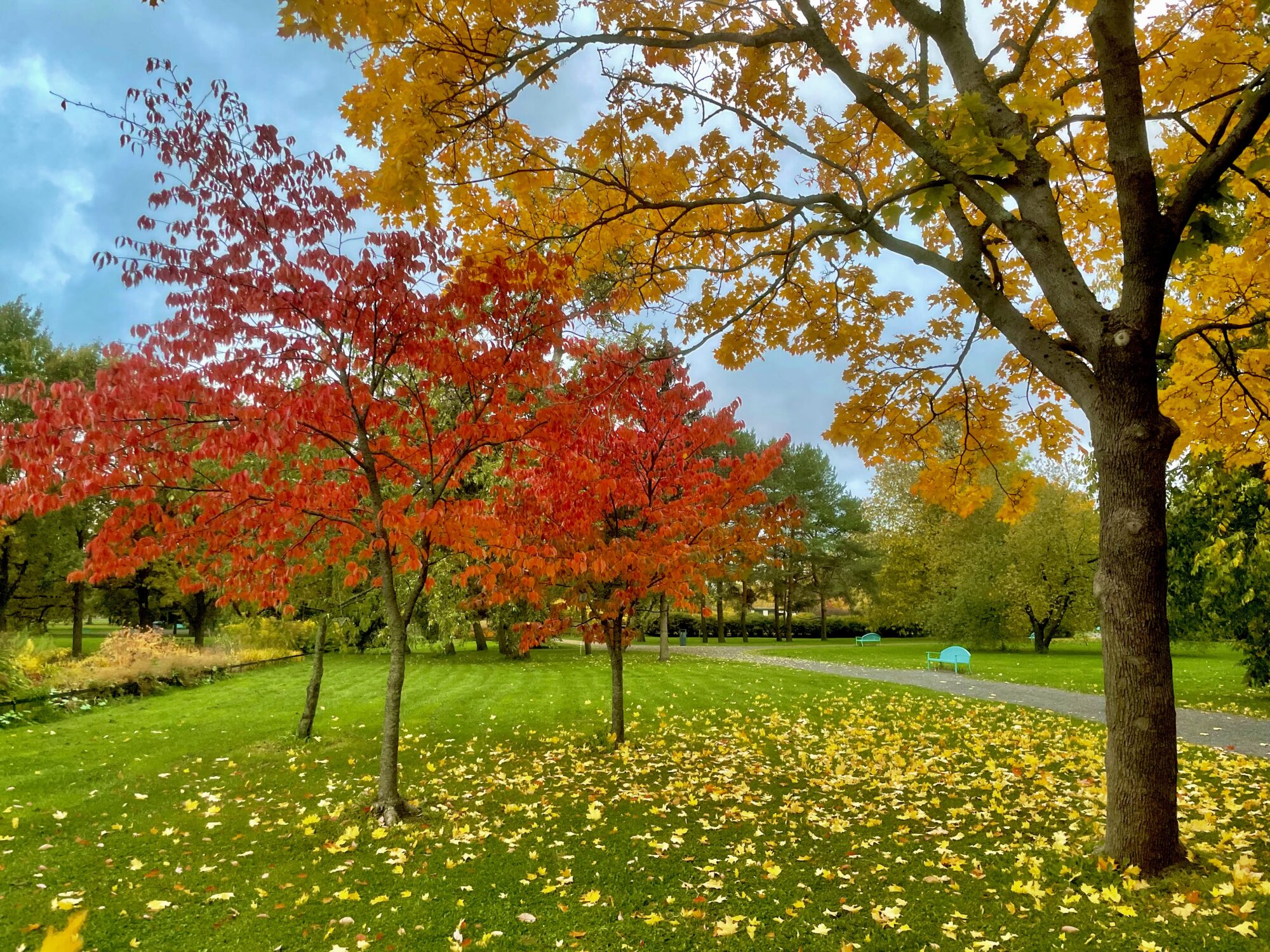 Valokuvaaja: juhani Peltonen