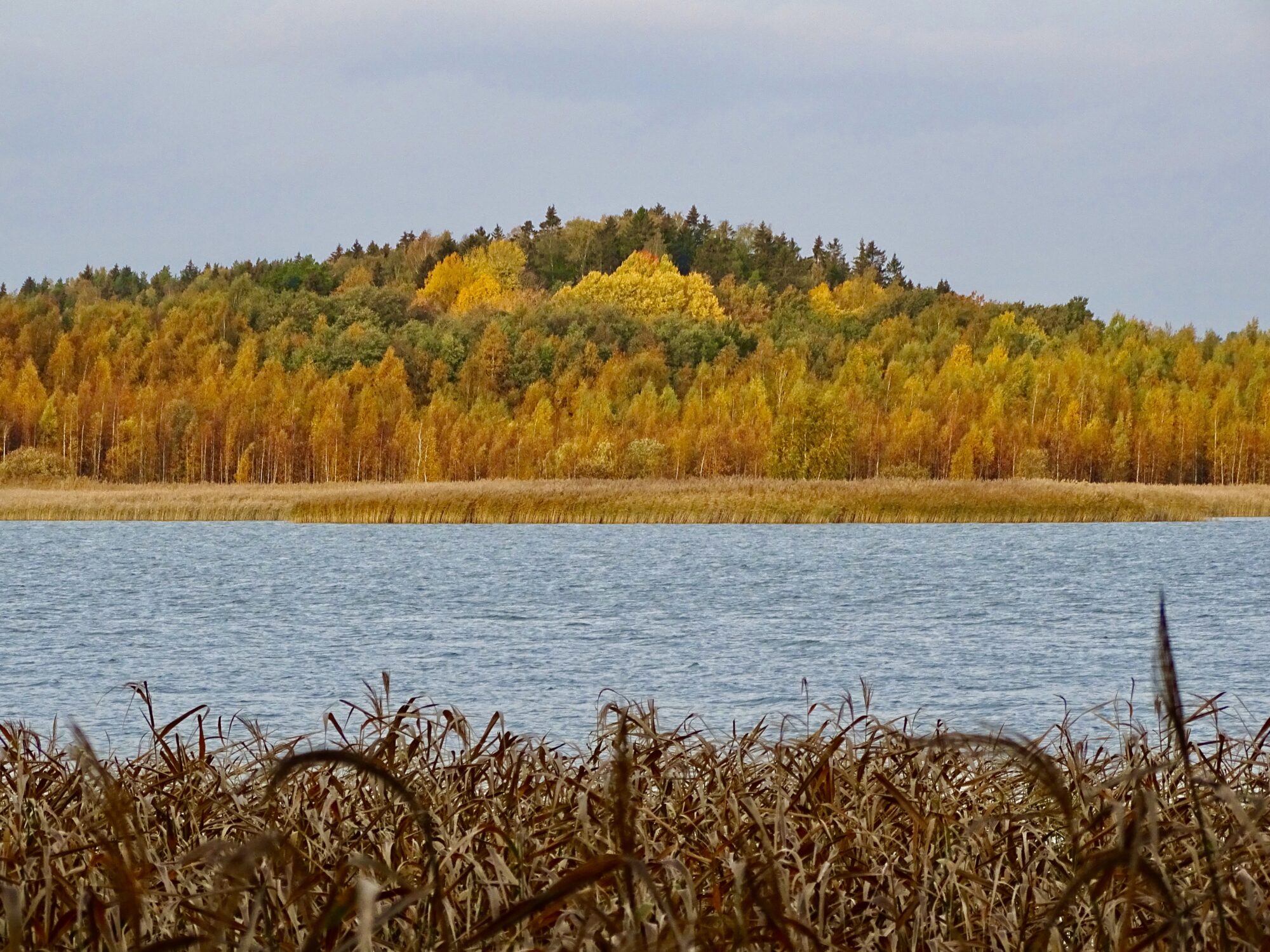 Valokuvaaja: Juhani Peltonen