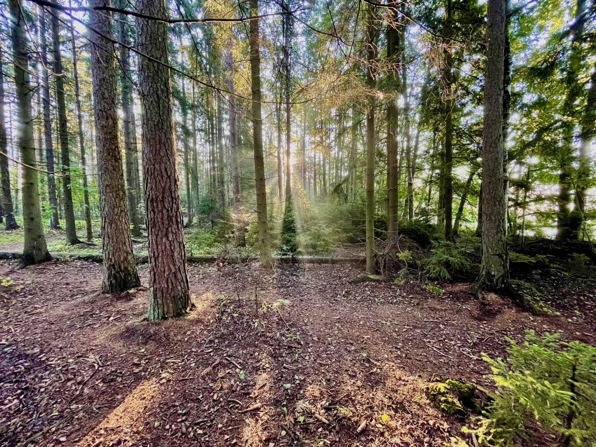 Valokuvaaja: Juhani Peltonen