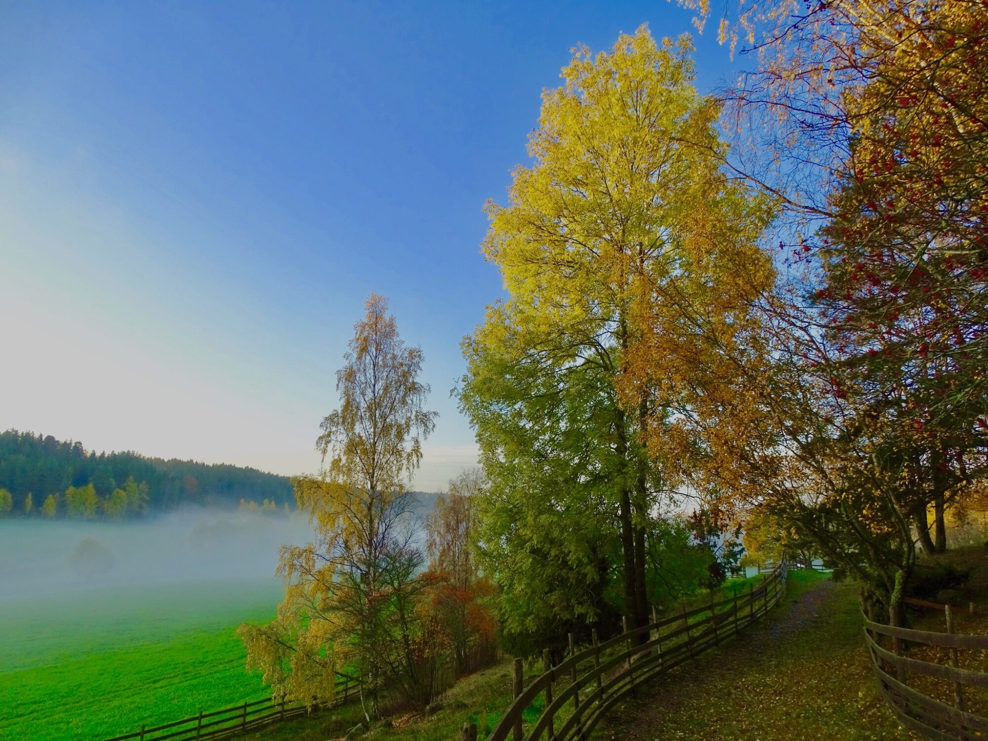 Valokuvaaja: Juhani Peltonen Valokuvaaja: Juhani Peltonen