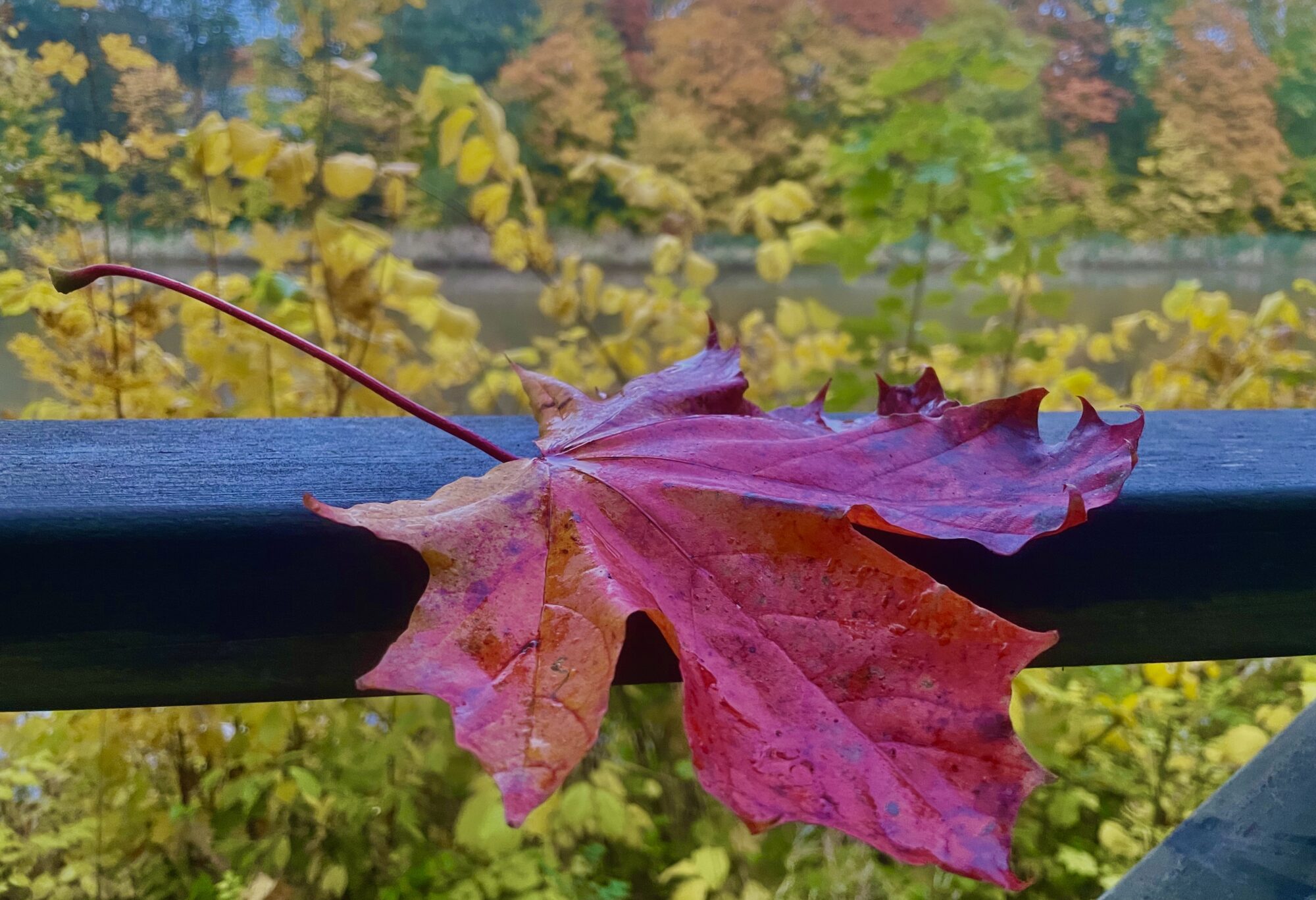 Valokuvaaja: Juhani Peltonen Valokuvaaja: Juhani Peltonen