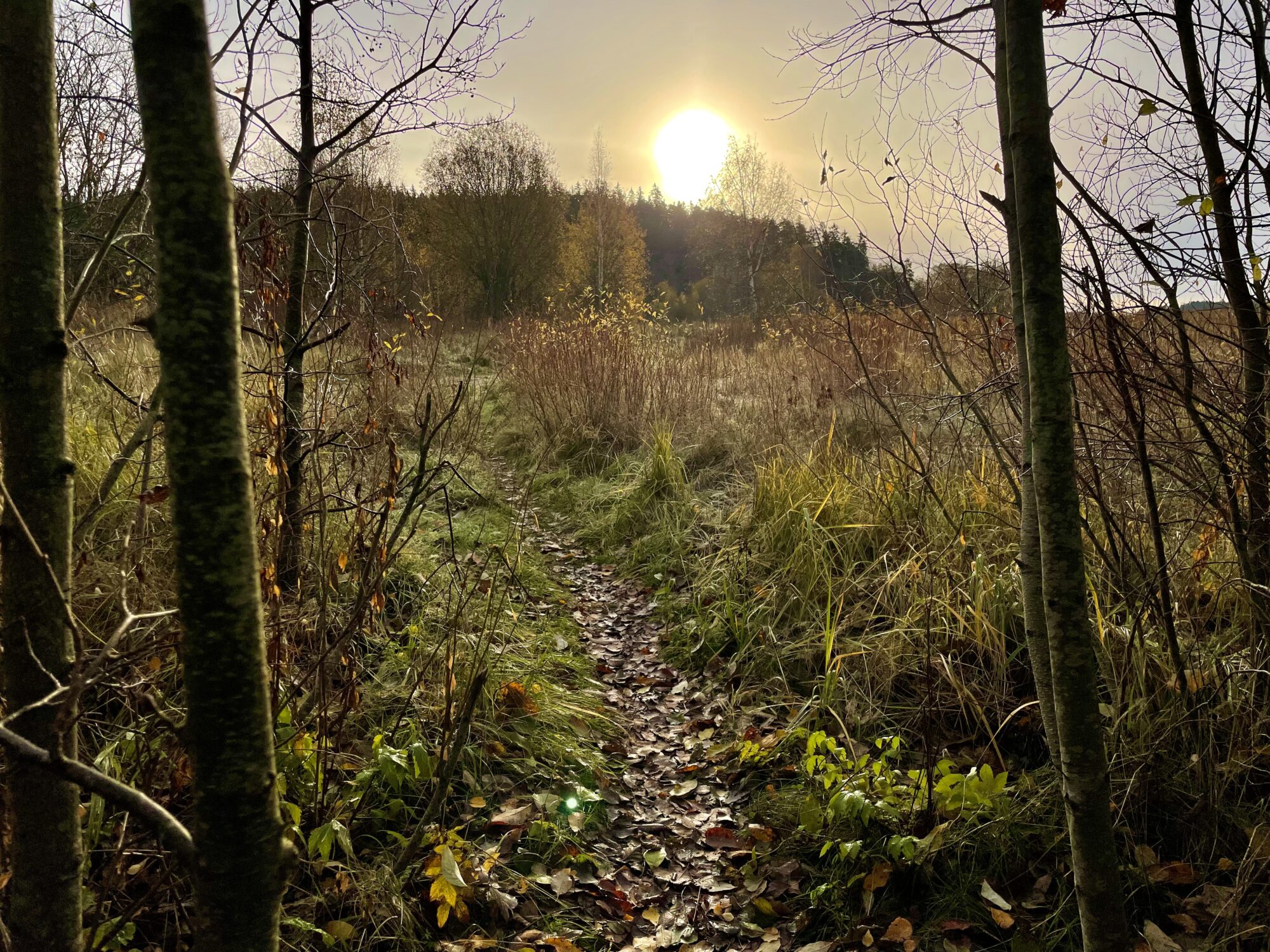 Valokuvaaja: Juhani Peltonen