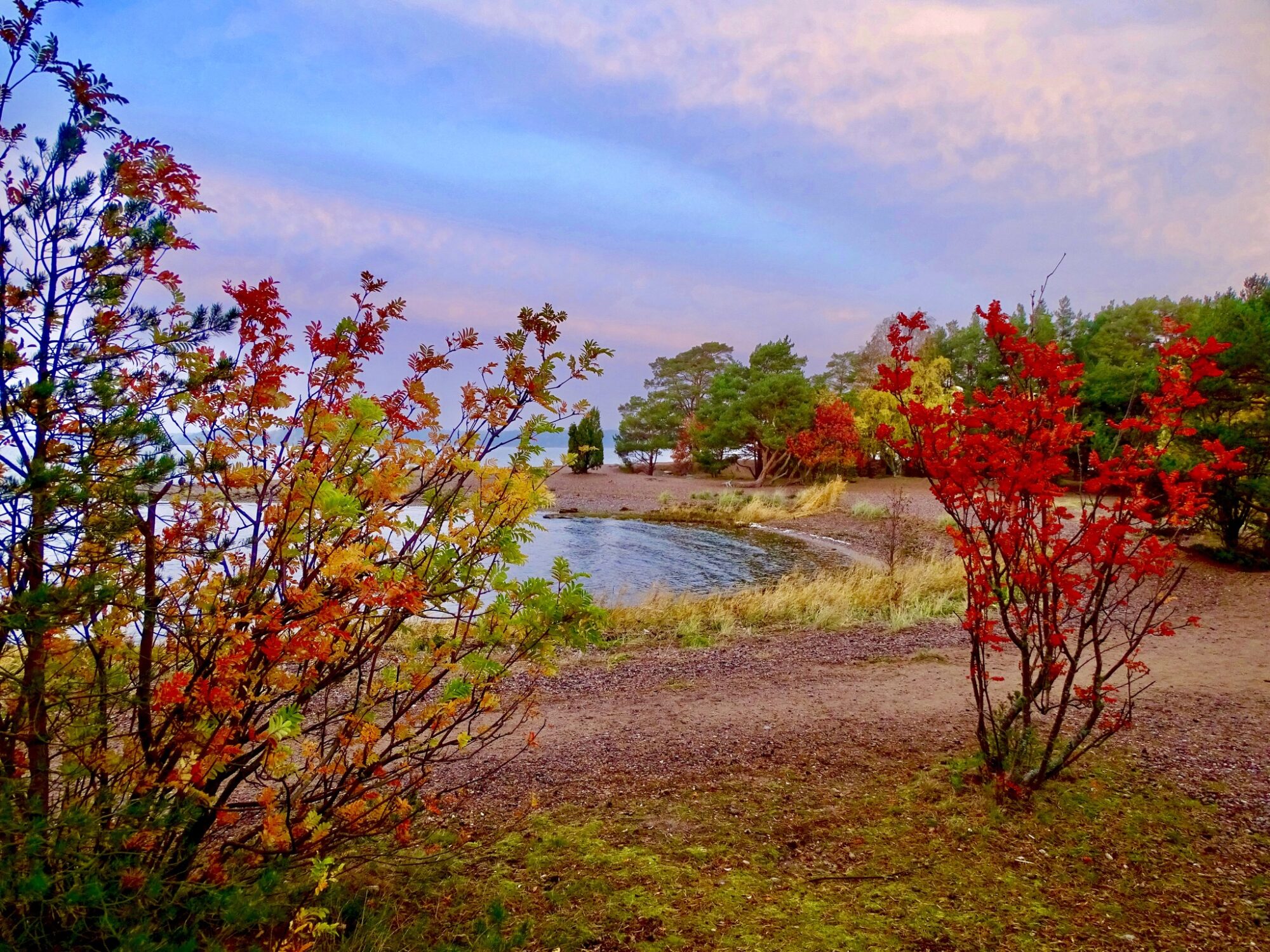 Valokuvaaja: Juhani Peltonen