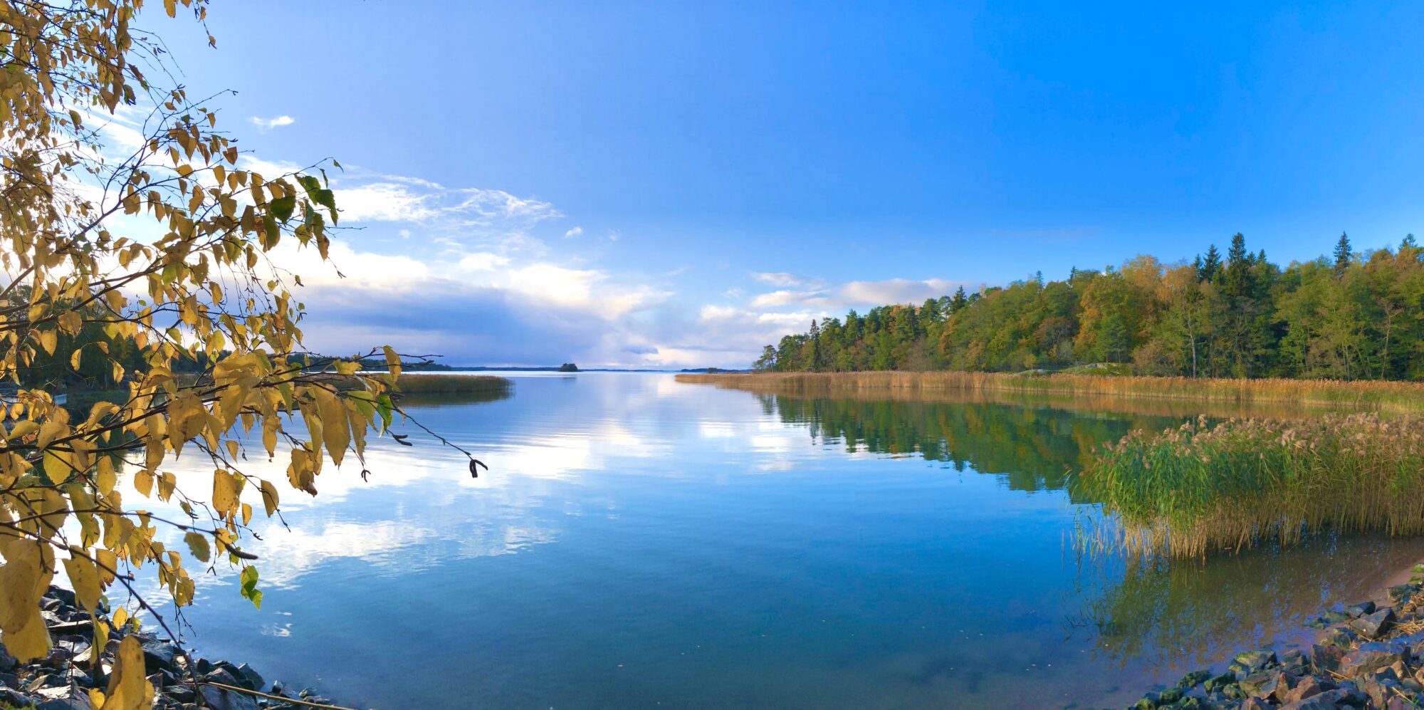 Valokuvaaja: Juhani Peltonen