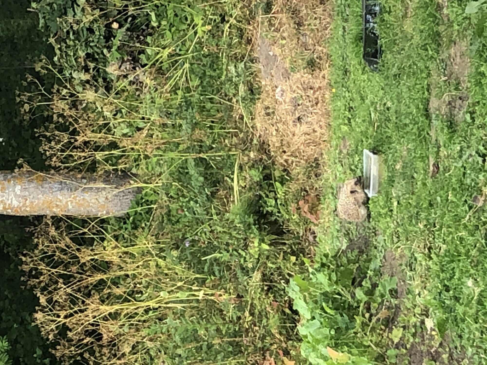 Valokuvaaja: Mervi Pekkinen