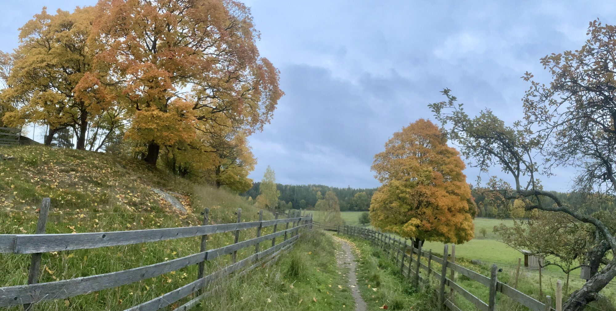 Valokuvaaja: Juhani Peltonen