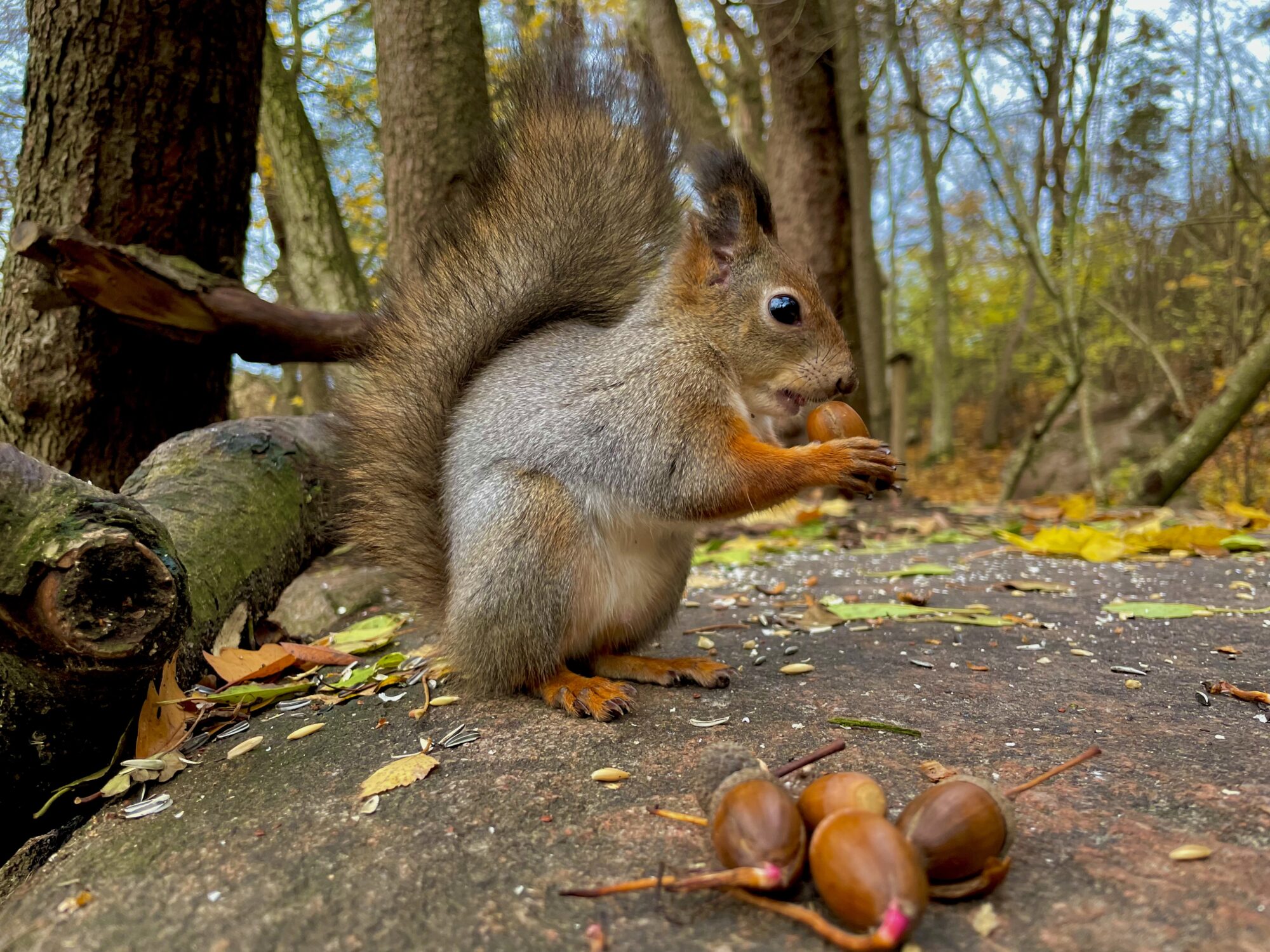 Valokuvaaja: Juhani Peltonen