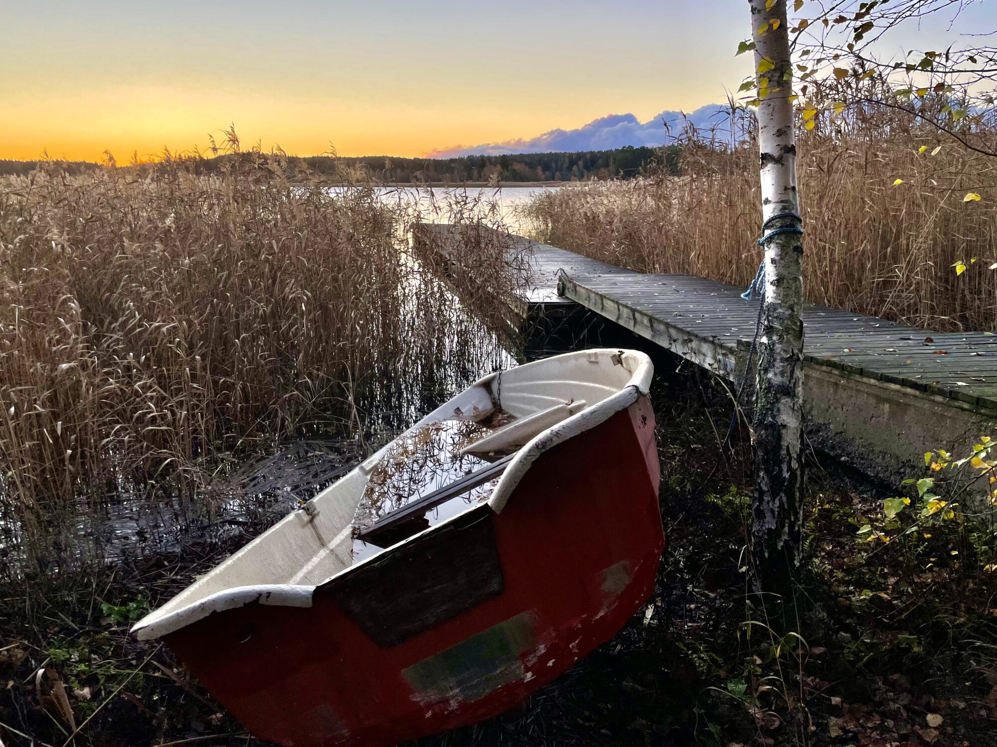 Valokuvaaja: Juhani Peltonen