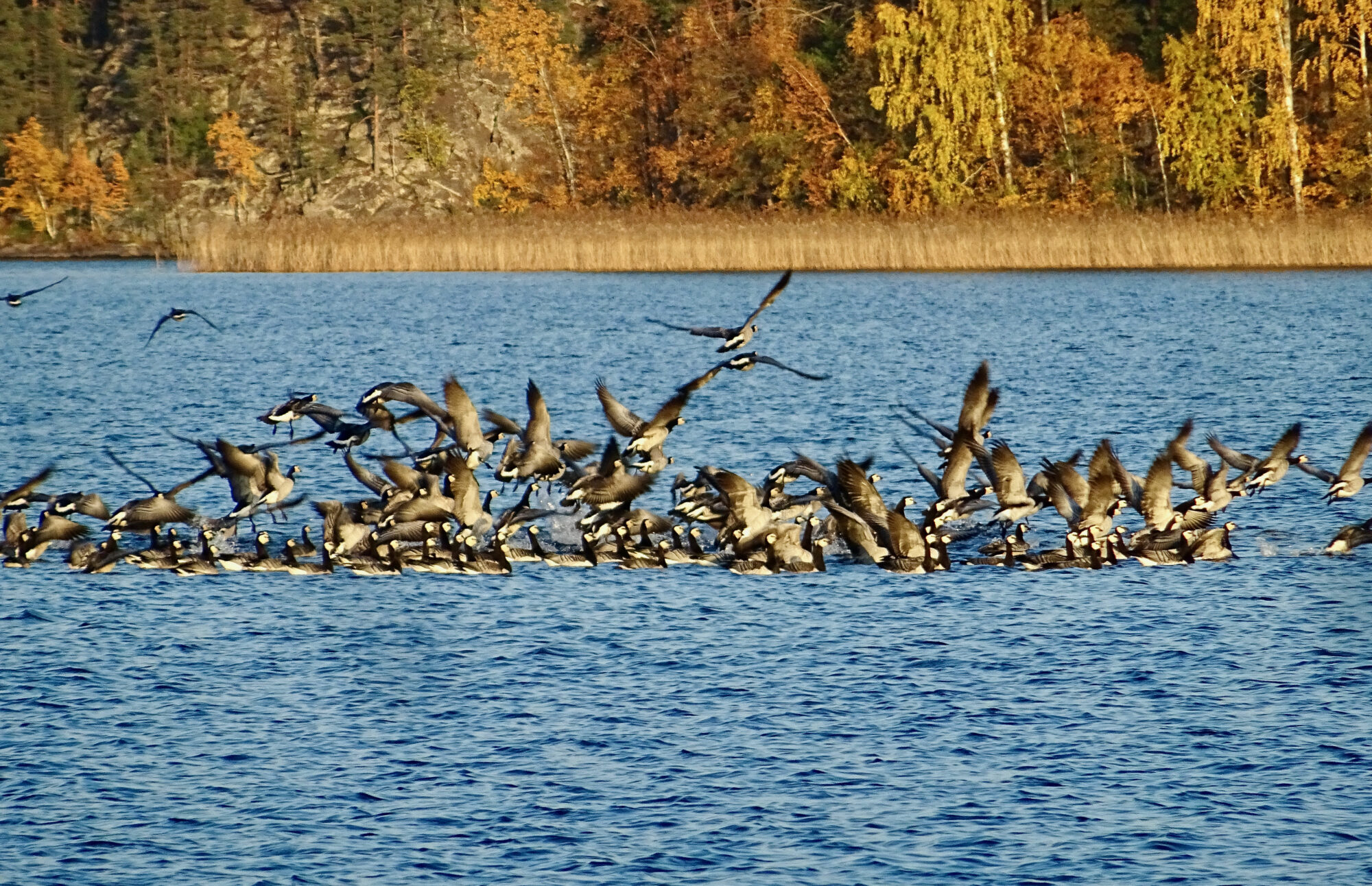 Valokuvaaja: Liisa Niiva-Korpela