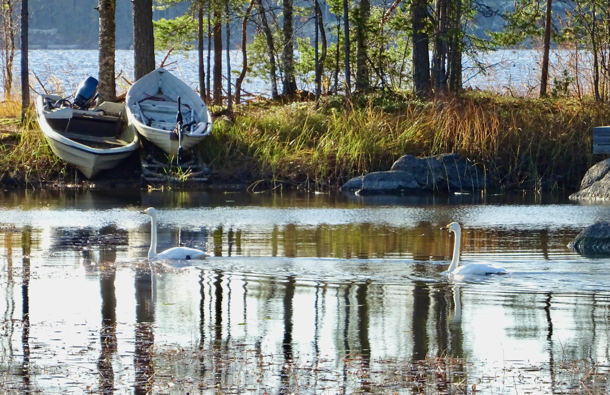 Valokuvaaja: Liisa Niiva-Korpela