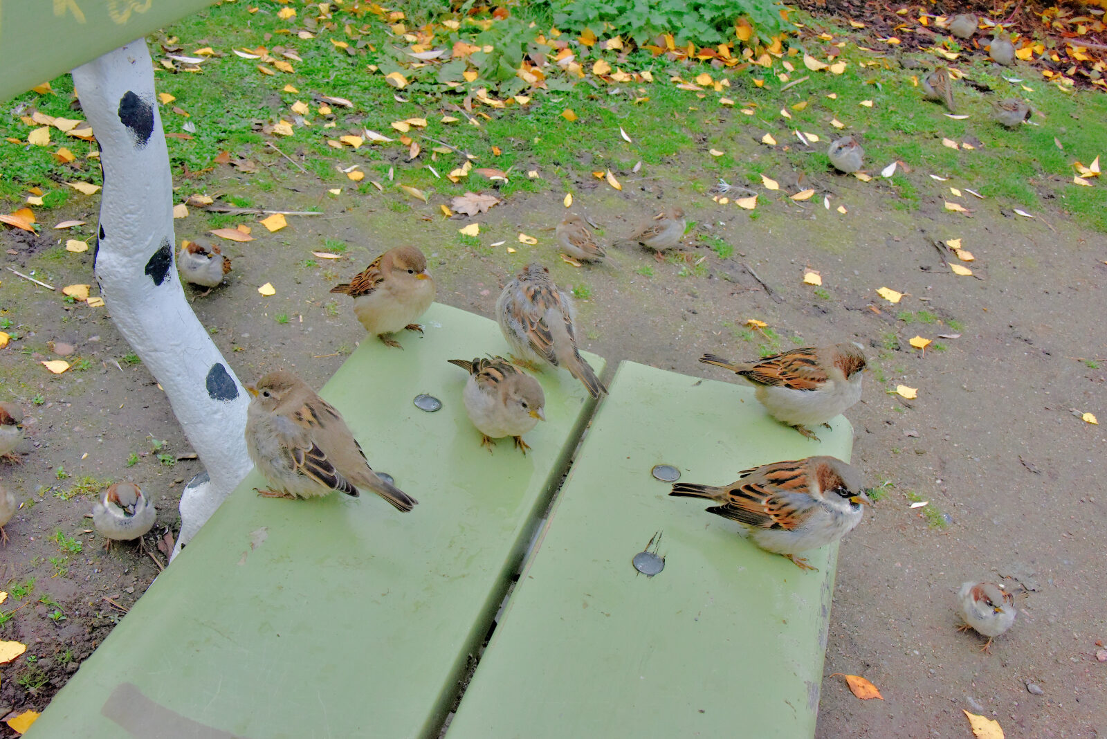 Valokuvaaja: Reijo Juurinen