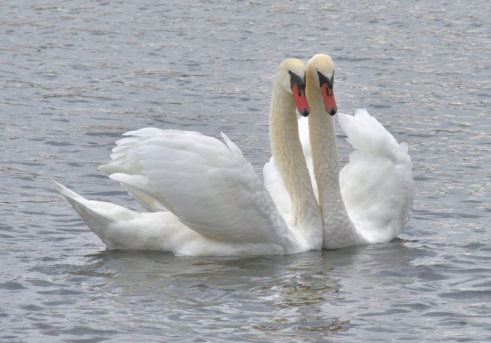 Valokuvaaja: Reijo Juurinen