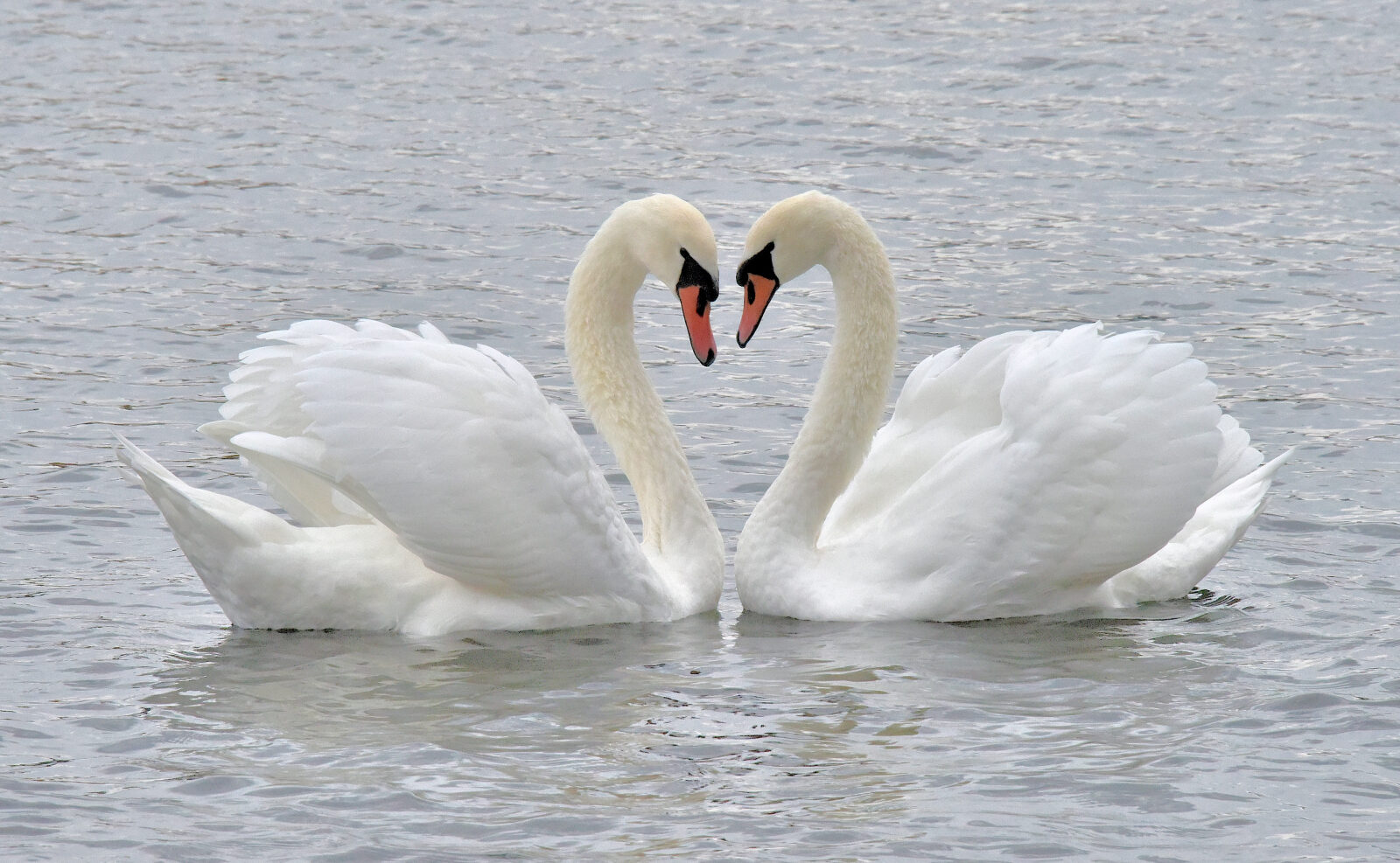 Valokuvaaja: Reijo Juurinen