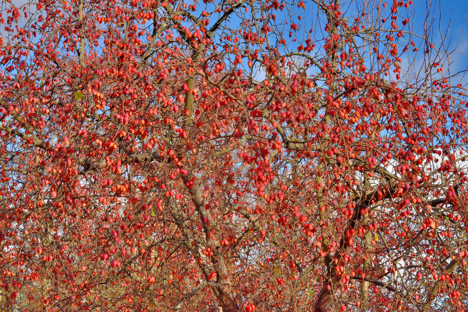 Valokuvaaja: Reijo Juurinen