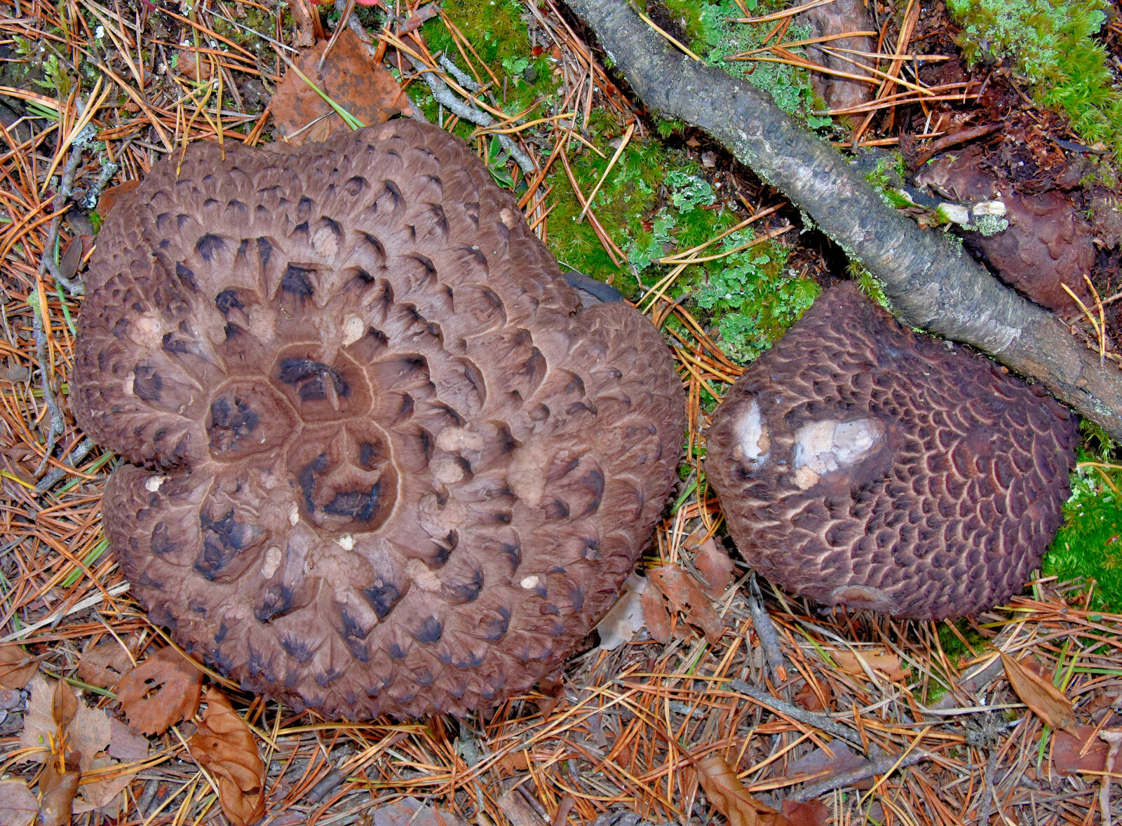 Valokuvaaja: Reijo Juurinen
