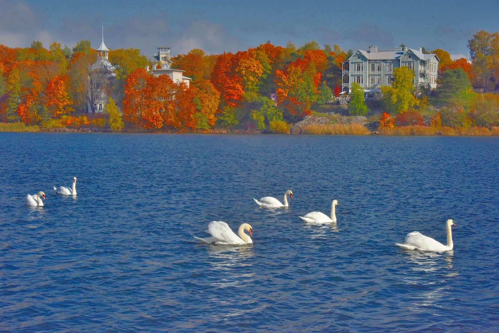 Valokuvaaja: Reijo Juurinen