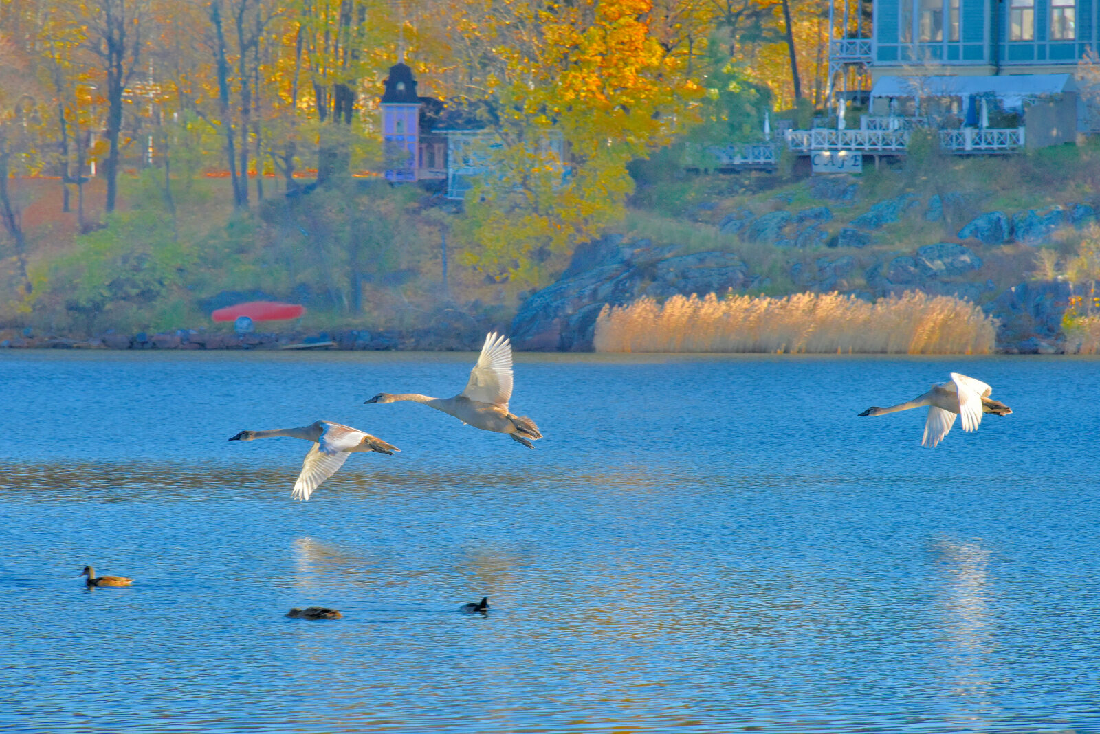 Valokuvaaja: Reijo Juurinen