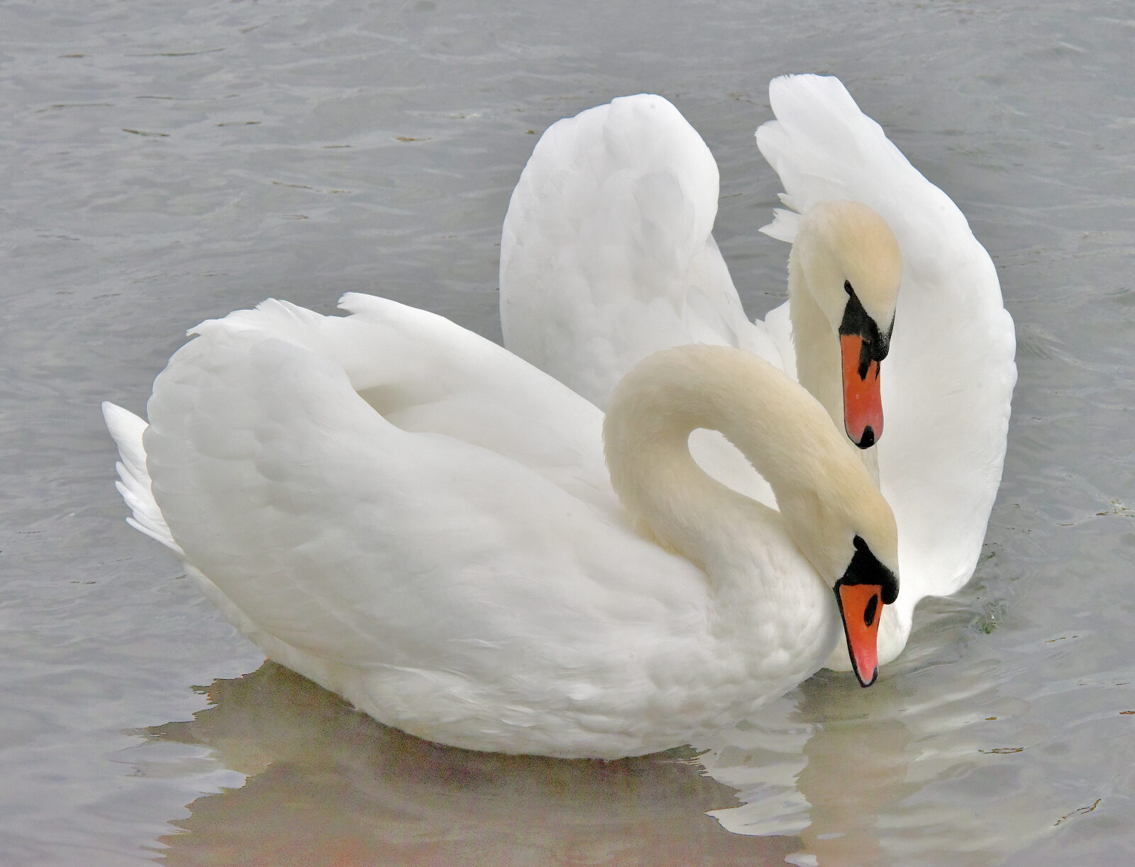 Valokuvaaja: Reijo Juurinen