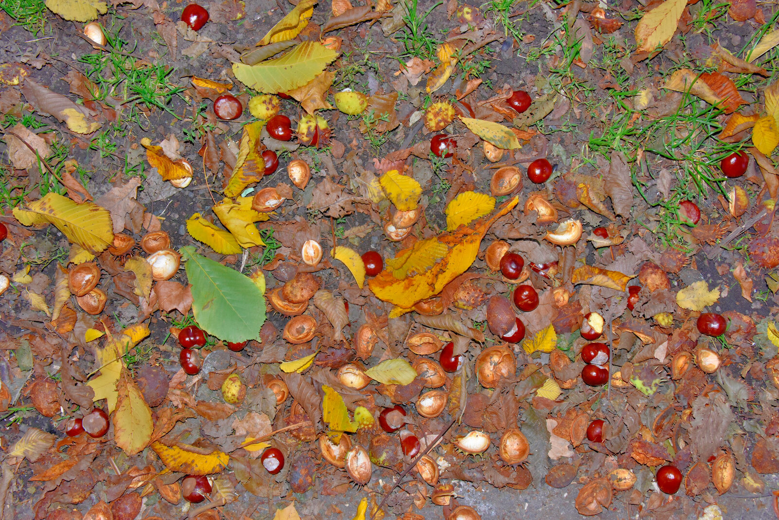 Valokuvaaja: Reijo Juurinen