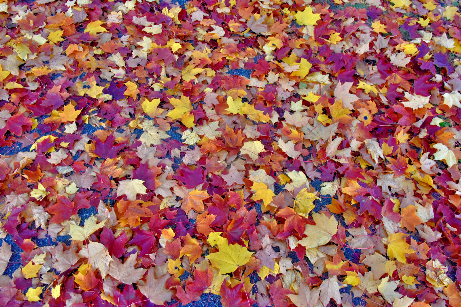 Valokuvaaja: Reijo Juurinen