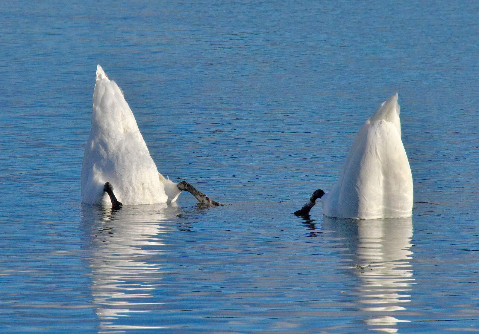 Valokuvaaja: Reijo Juurinen