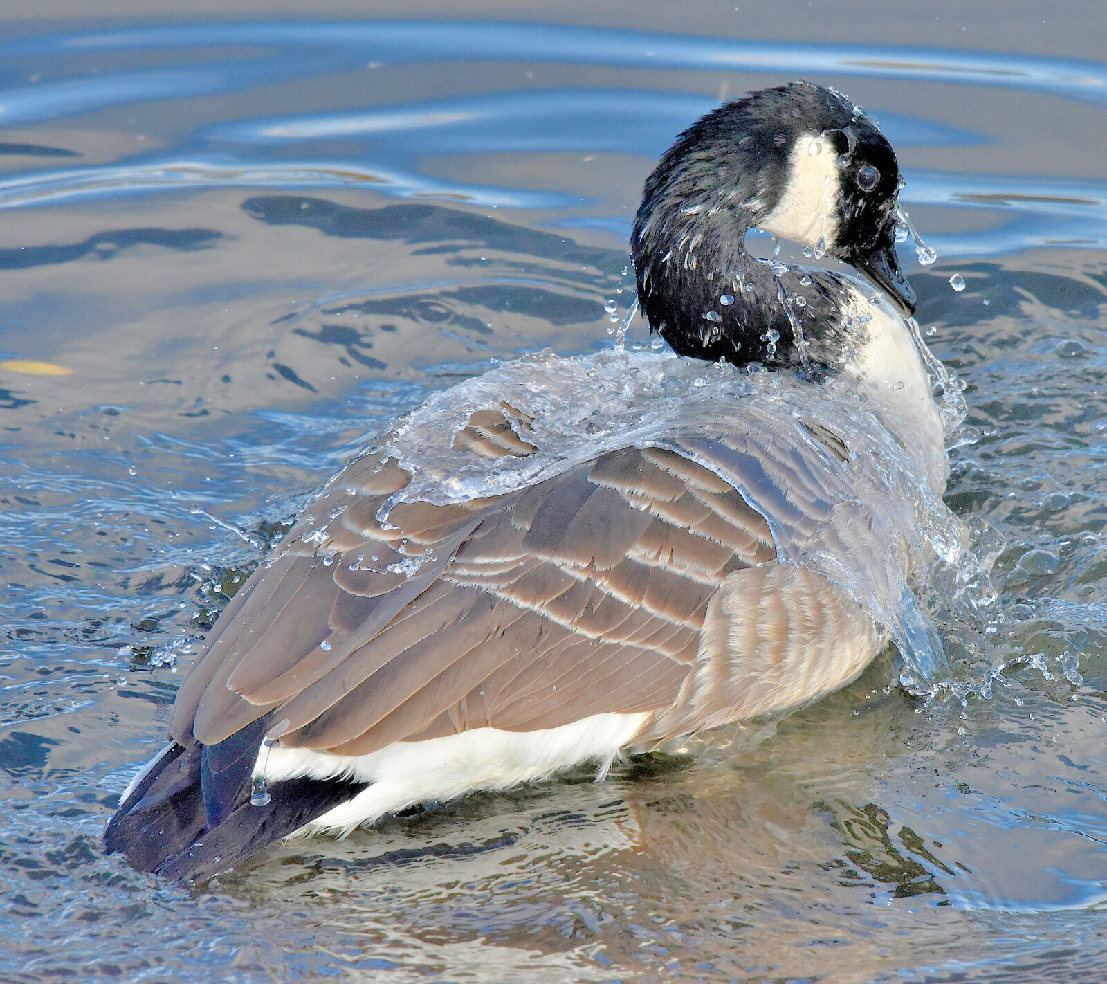Valokuvaaja: Reijo Juurinen
