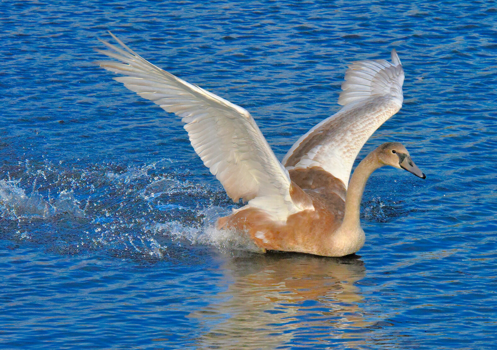 Valokuvaaja: Reijo Juurinen