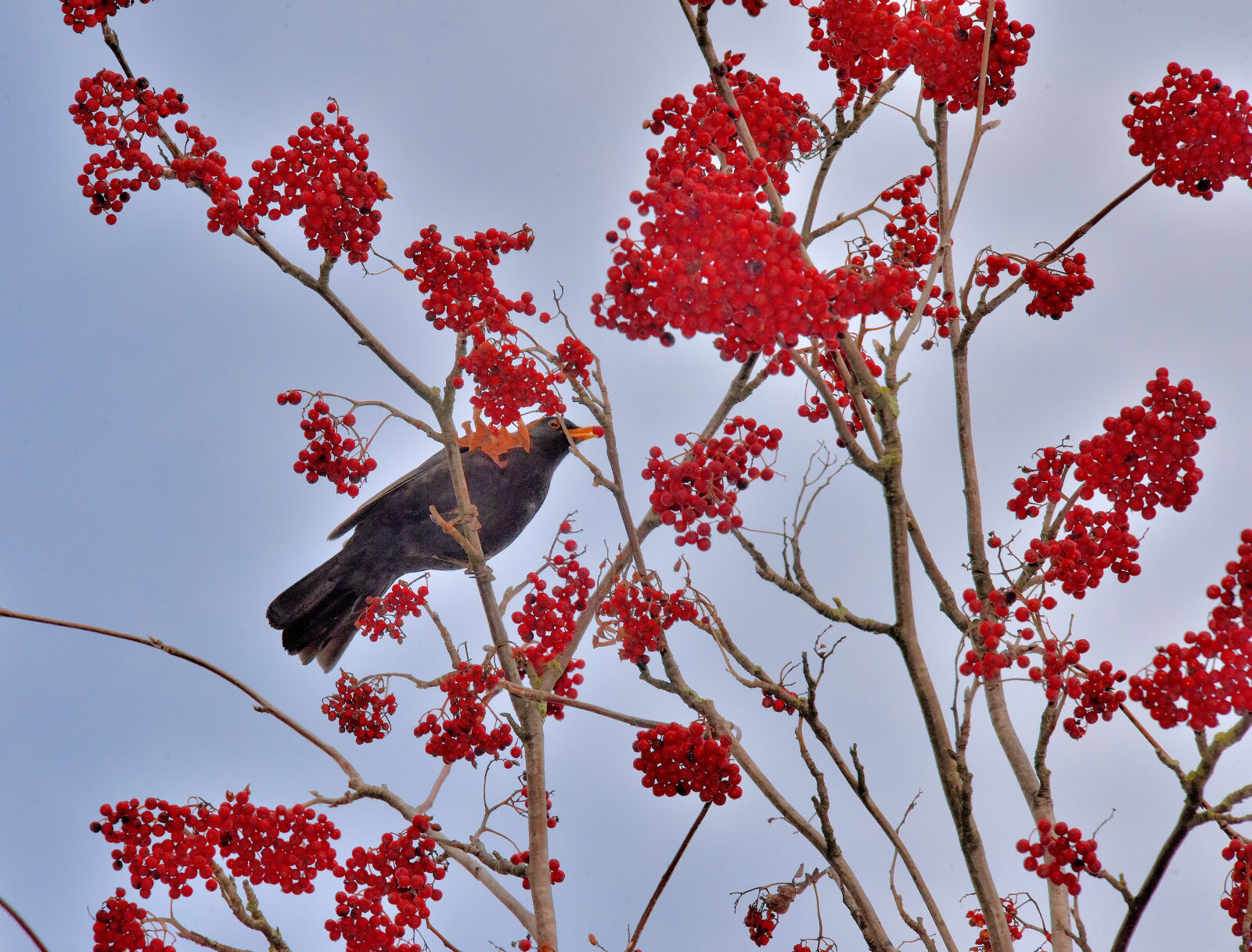 Valokuvaaja: Reijo Juurinen