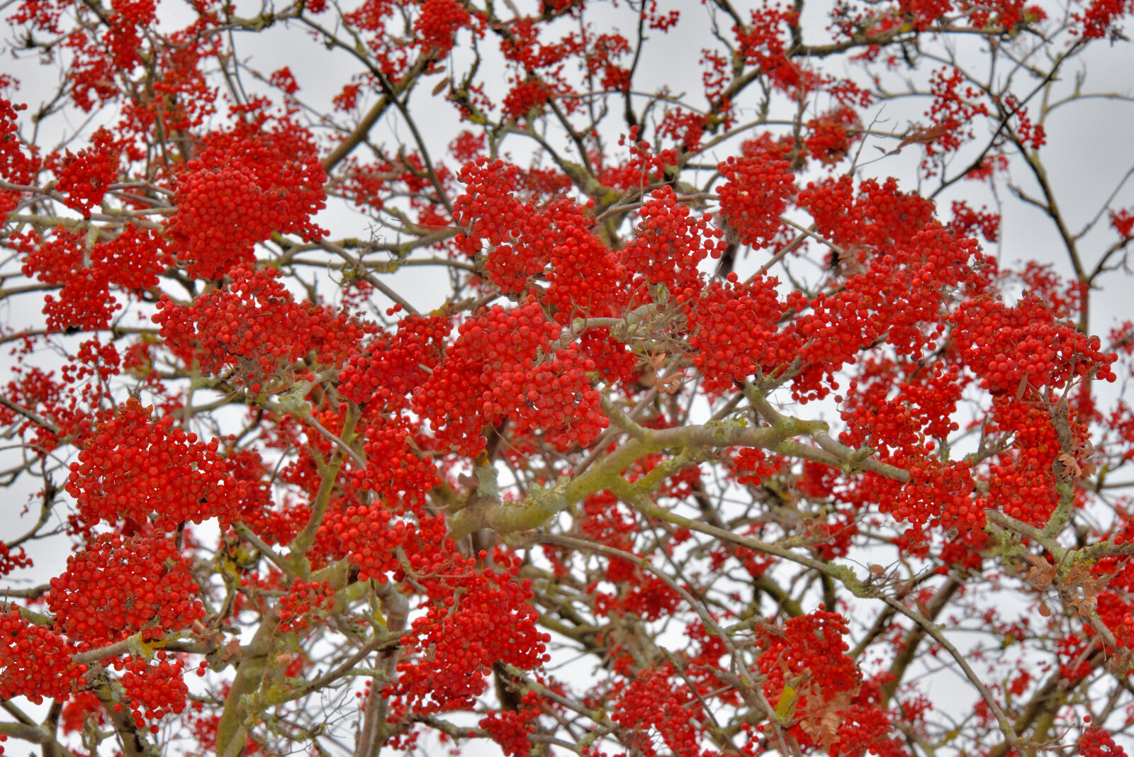 Valokuvaaja: Reijo Juurinen