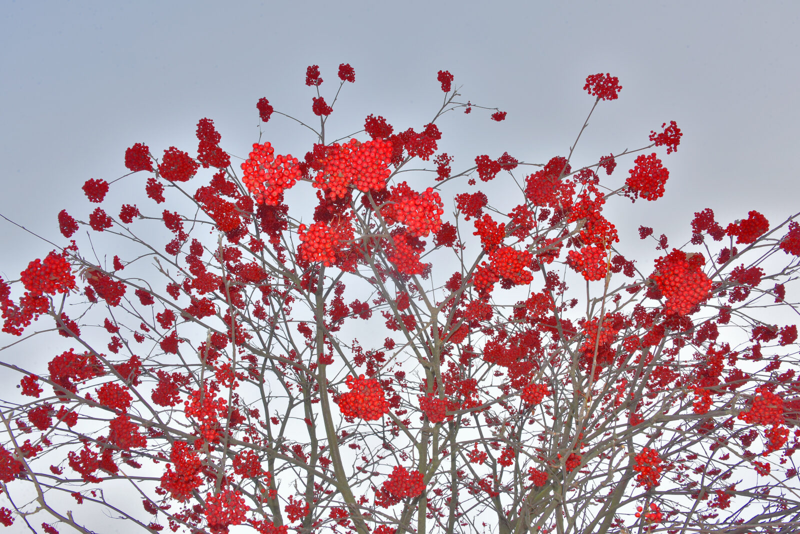 Valokuvaaja: Reijo Juurinen
