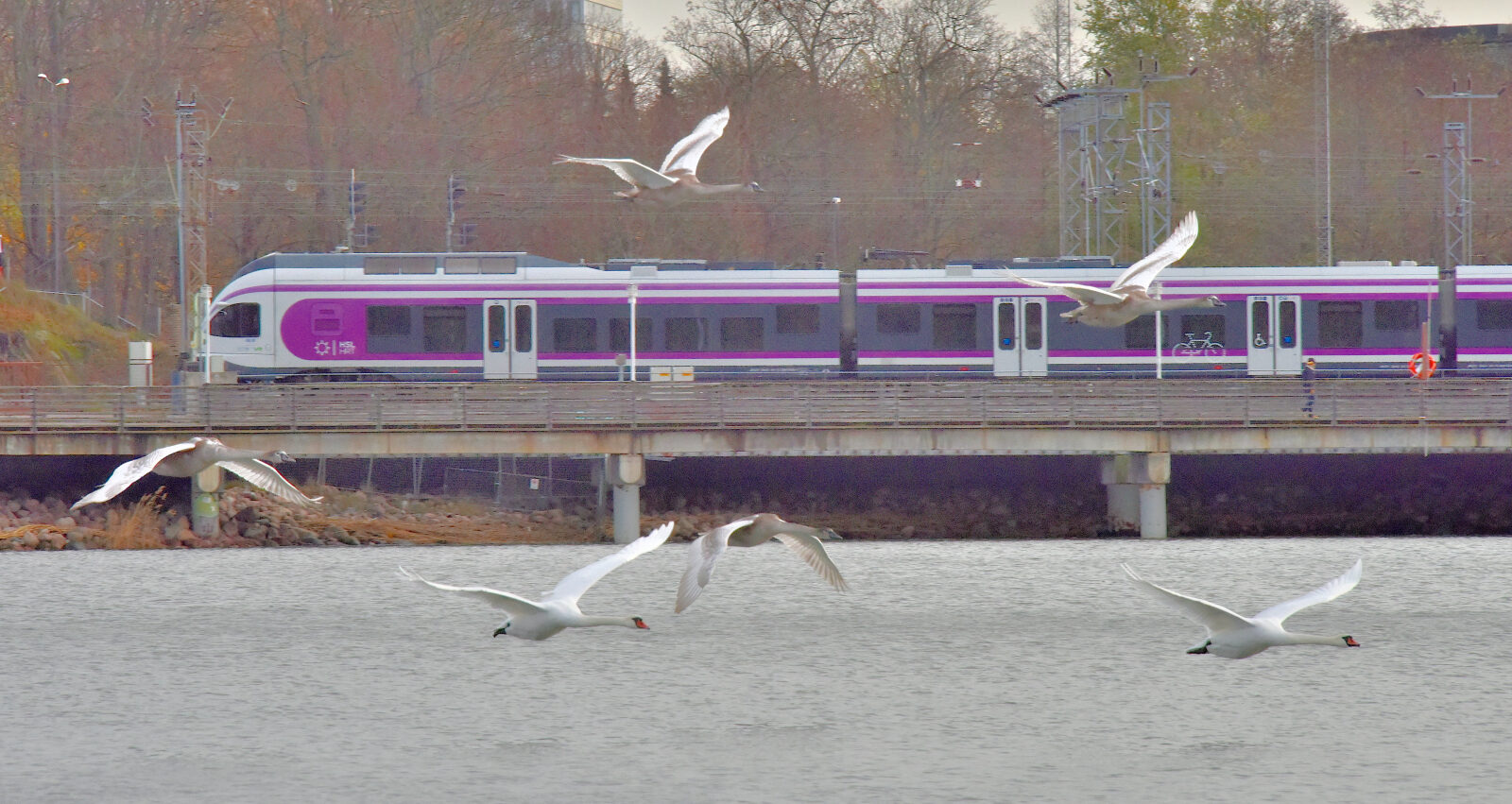 Valokuvaaja: Reijo Juurinen Valokuvaaja: Reijo Juurinen