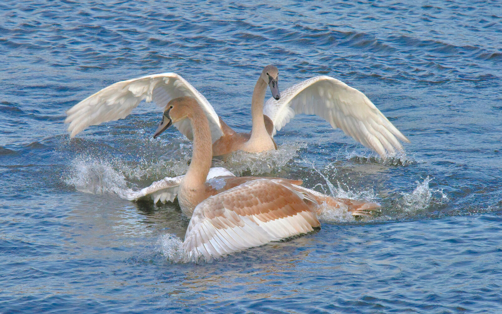 Valokuvaaja: Reijo Juurinen