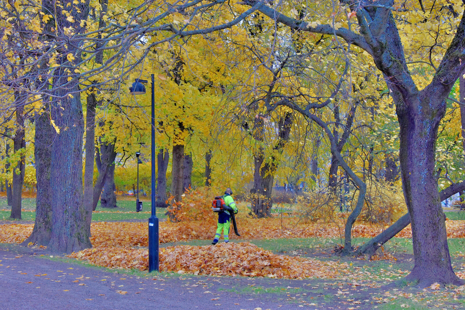 Valokuvaaja: Reijo Juurinen