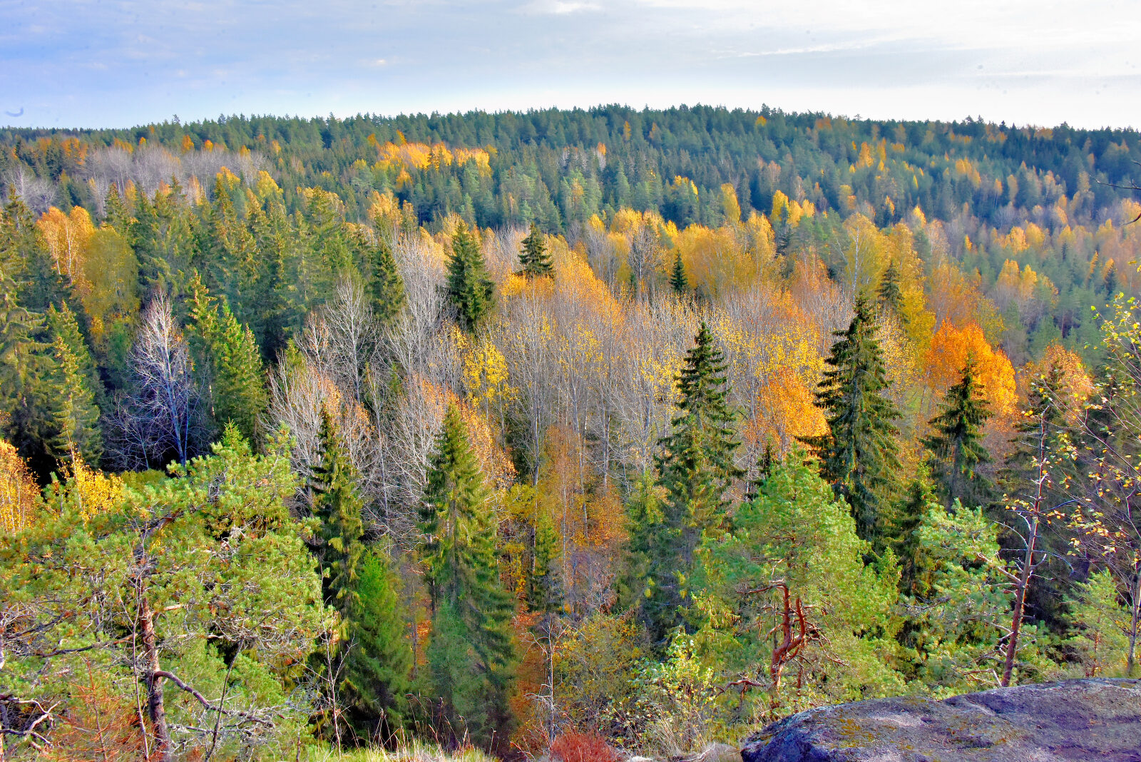 Valokuvaaja: Reijo Juurinen